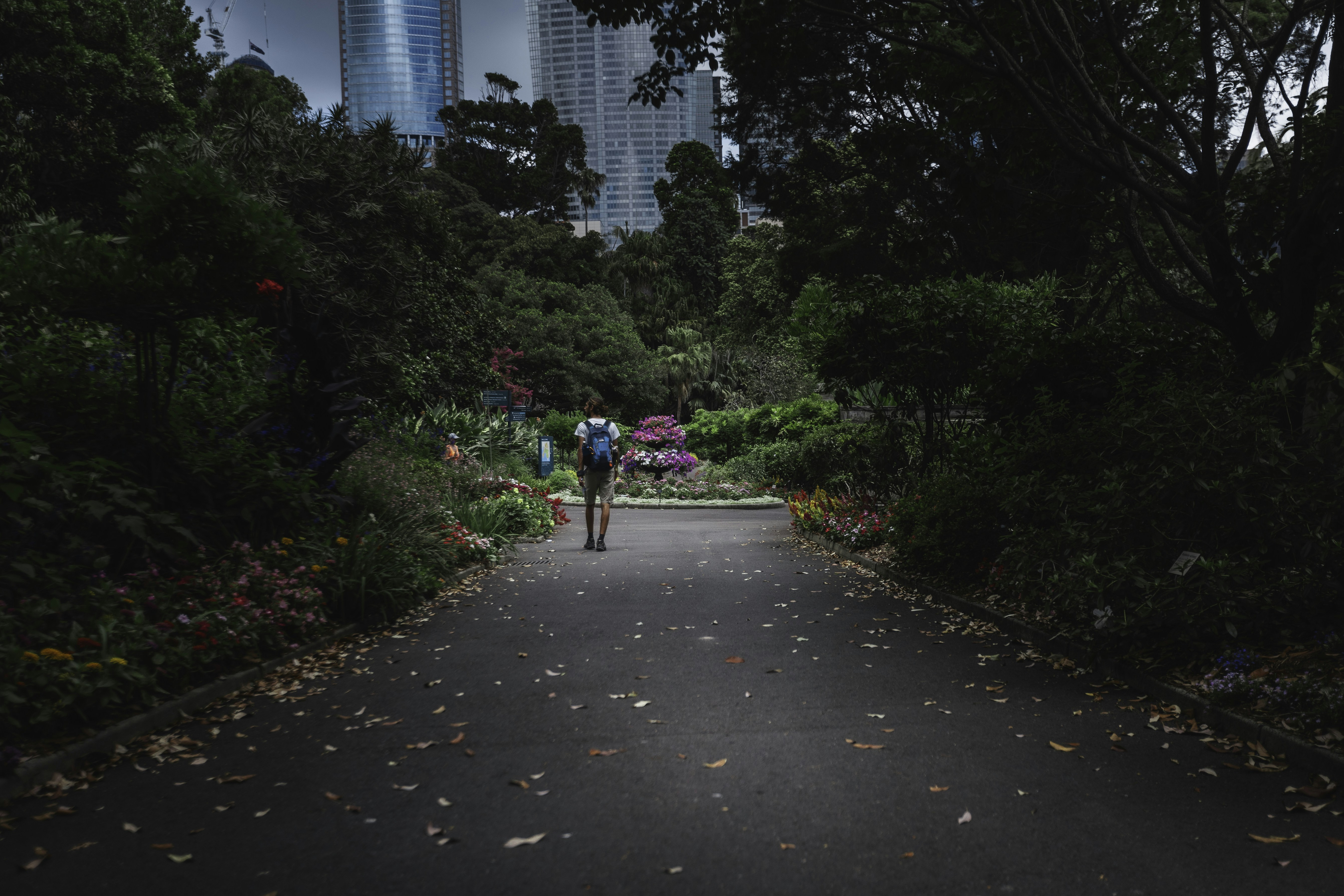 Photo by behindthetmuna