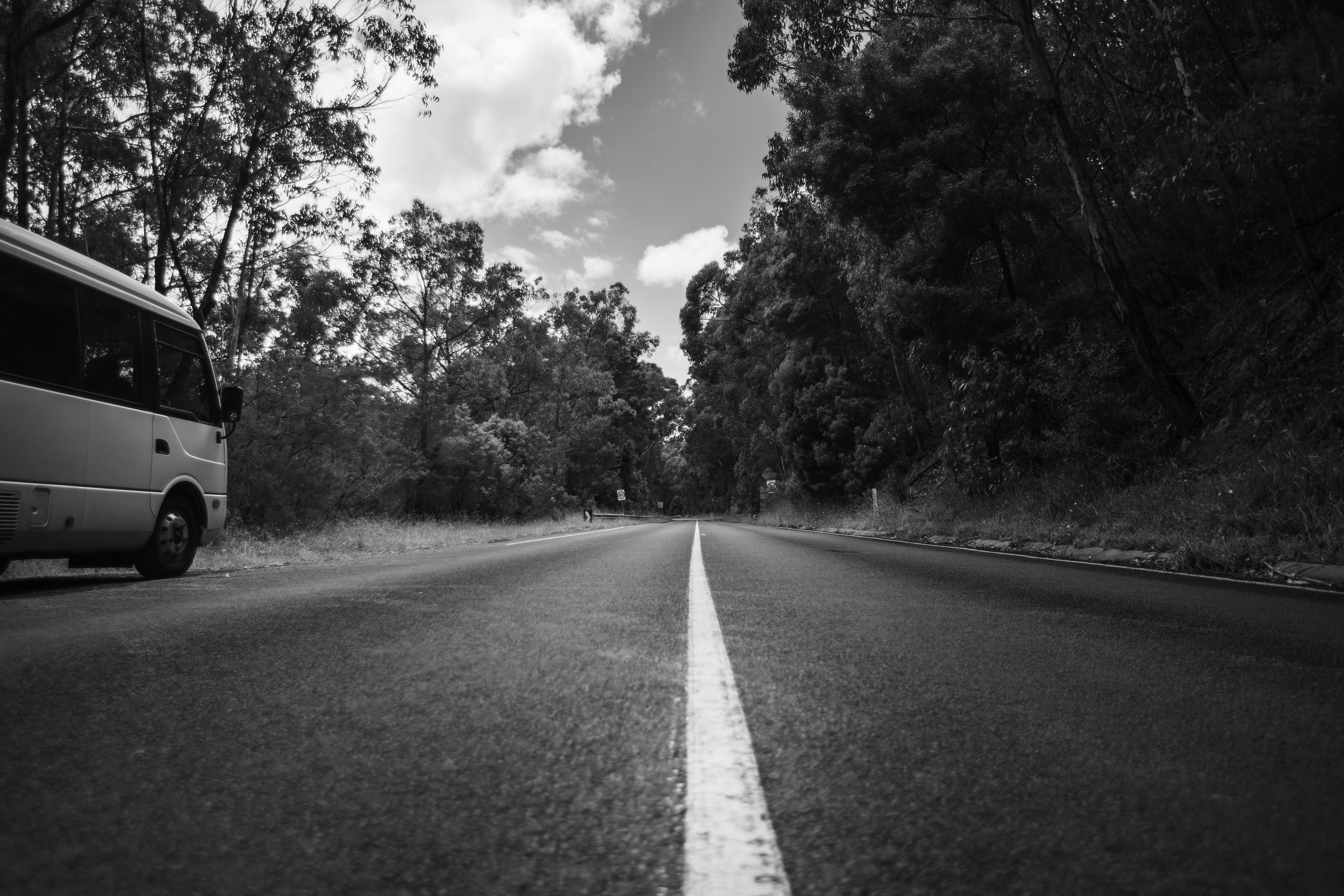 Photo by behindthetmuna