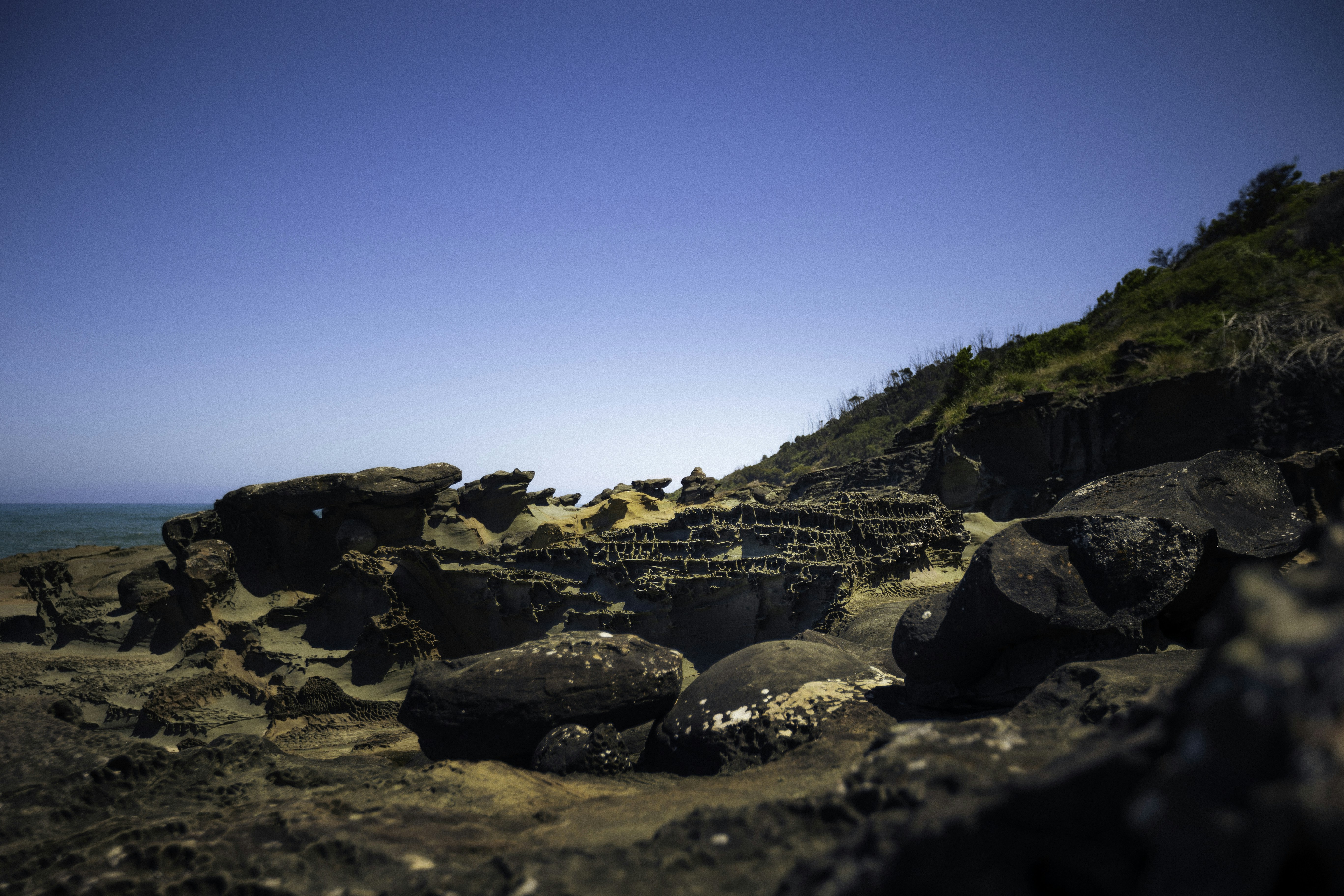 Photo by behindthetmuna