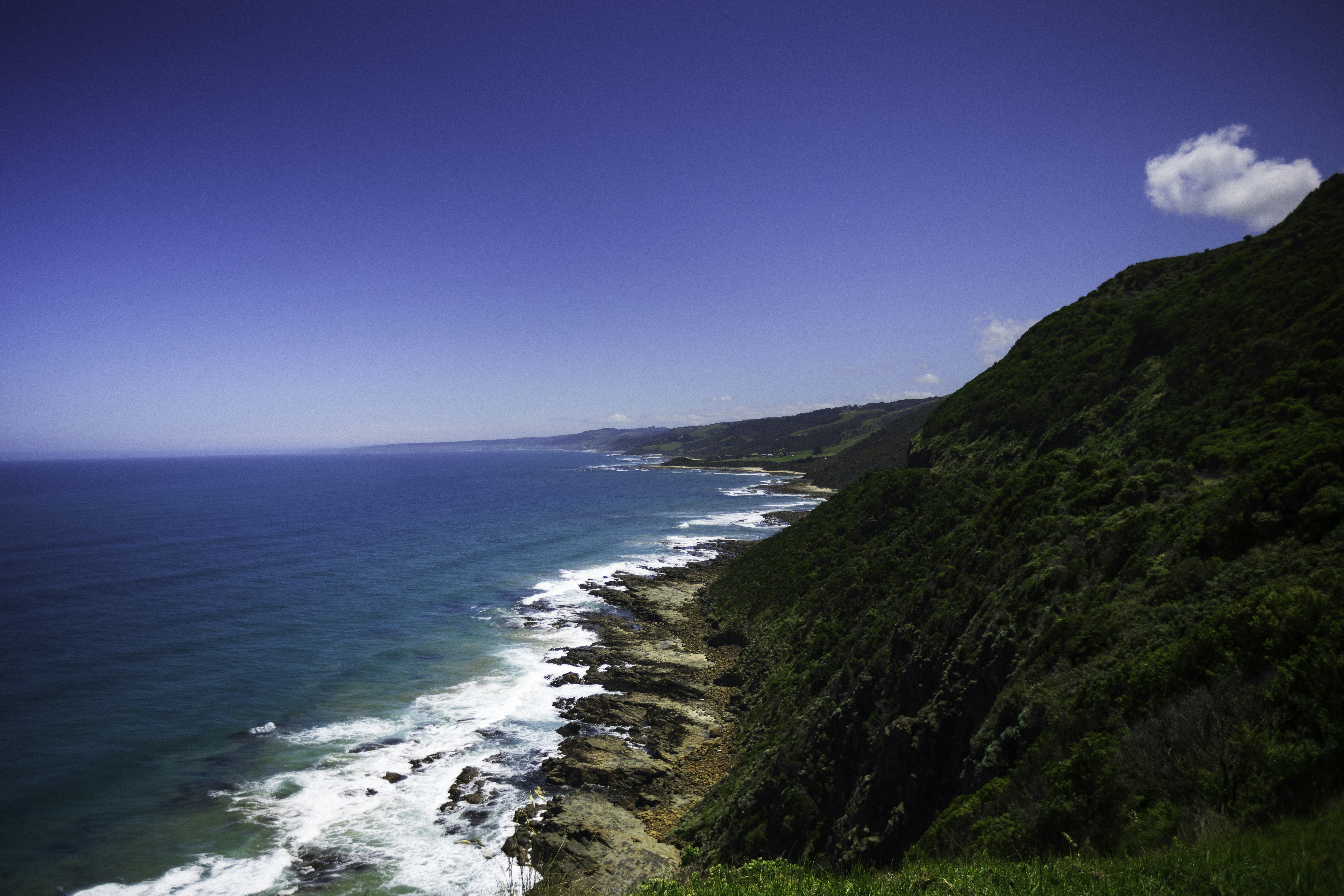 Photo by behindthetmuna