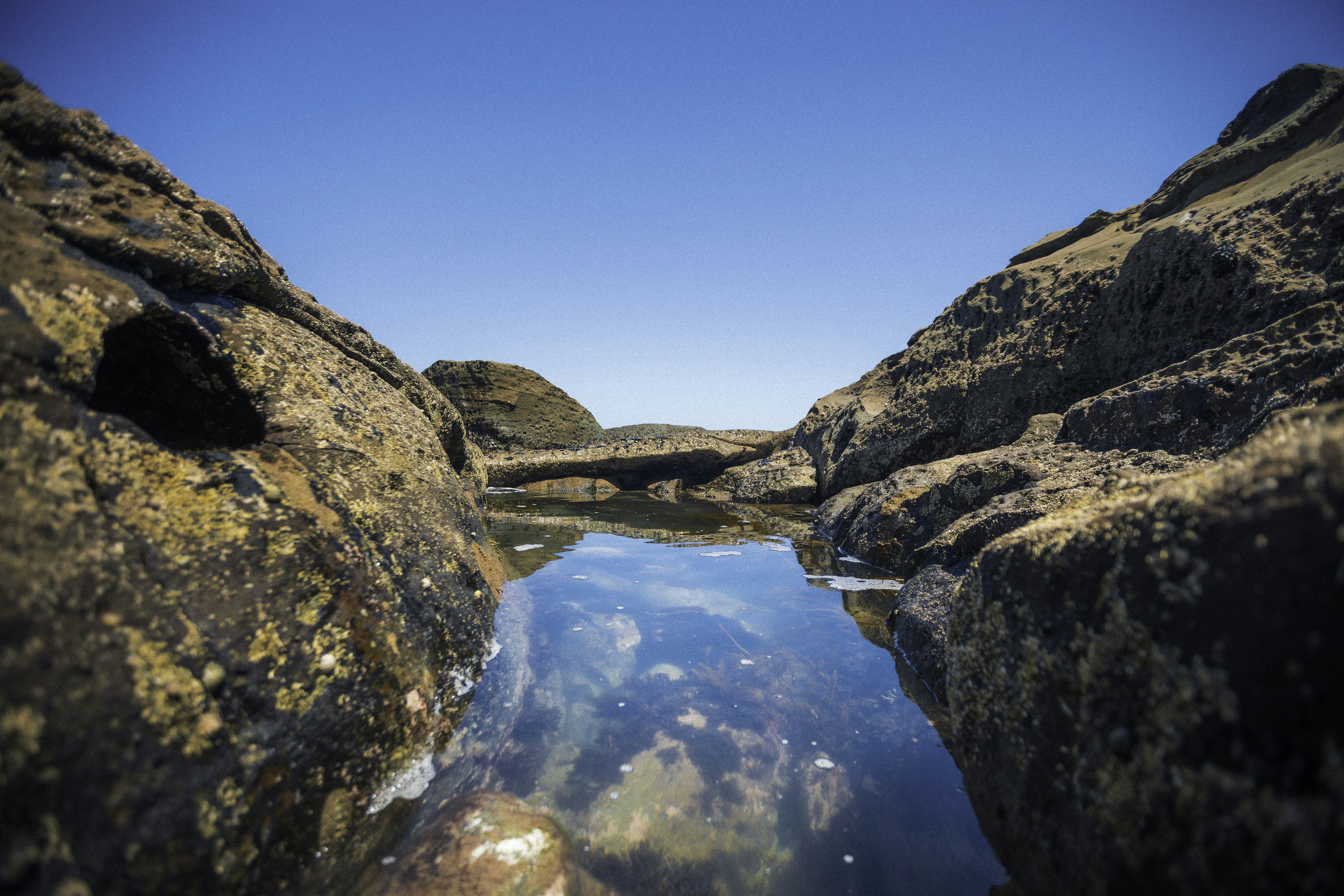 Photo by behindthetmuna