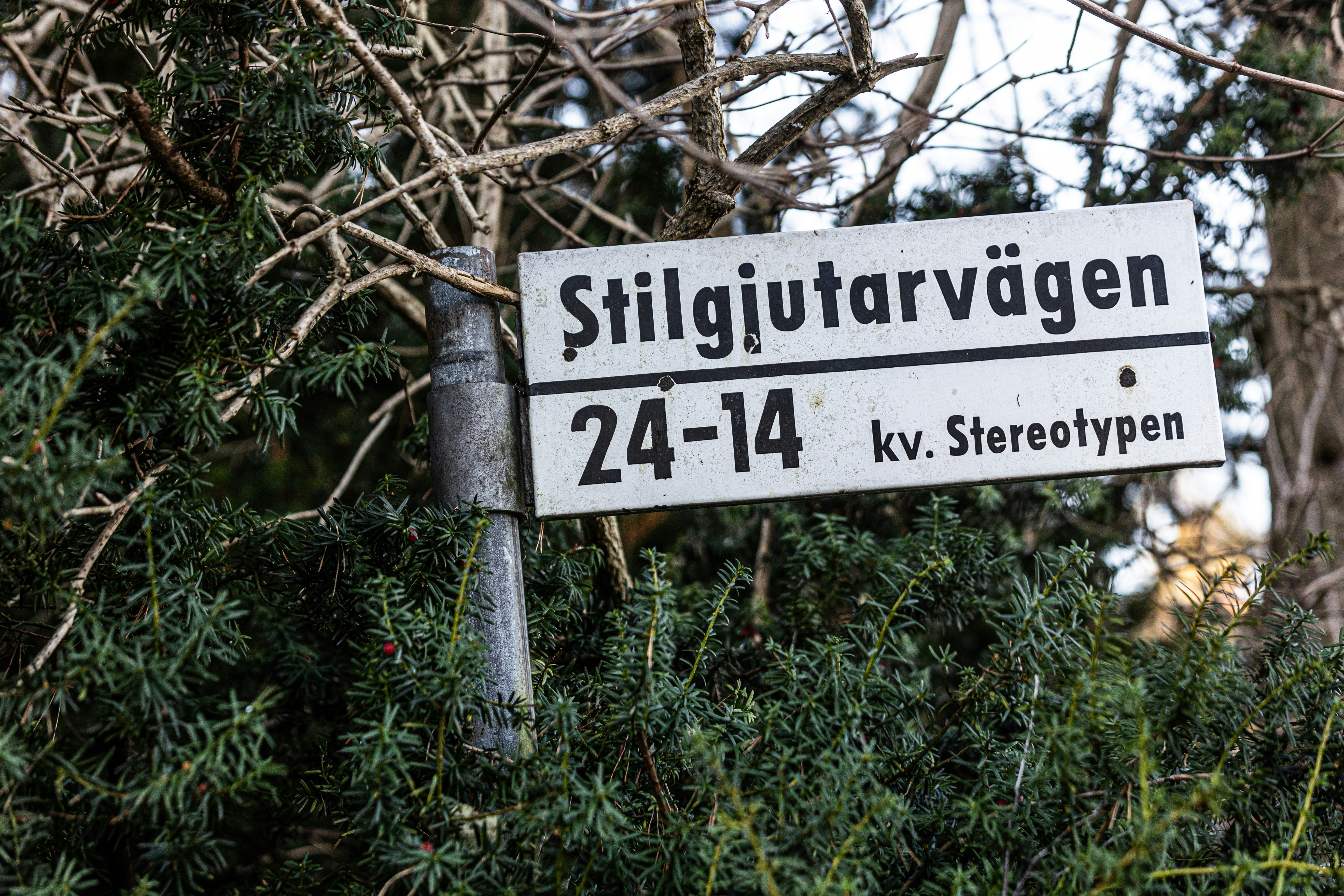 A street sign in front of some trees
