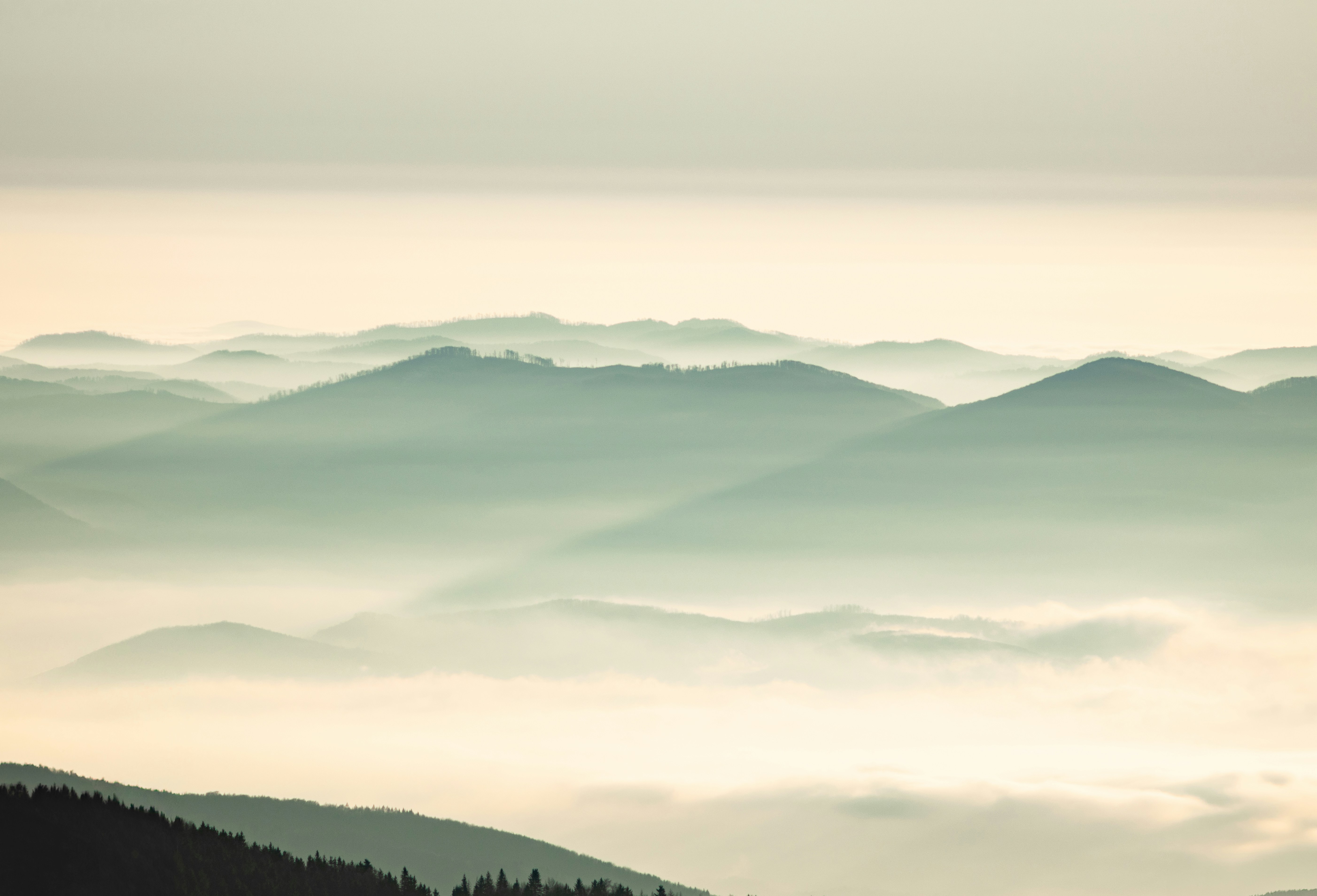 A view of a mountain range covered in fog