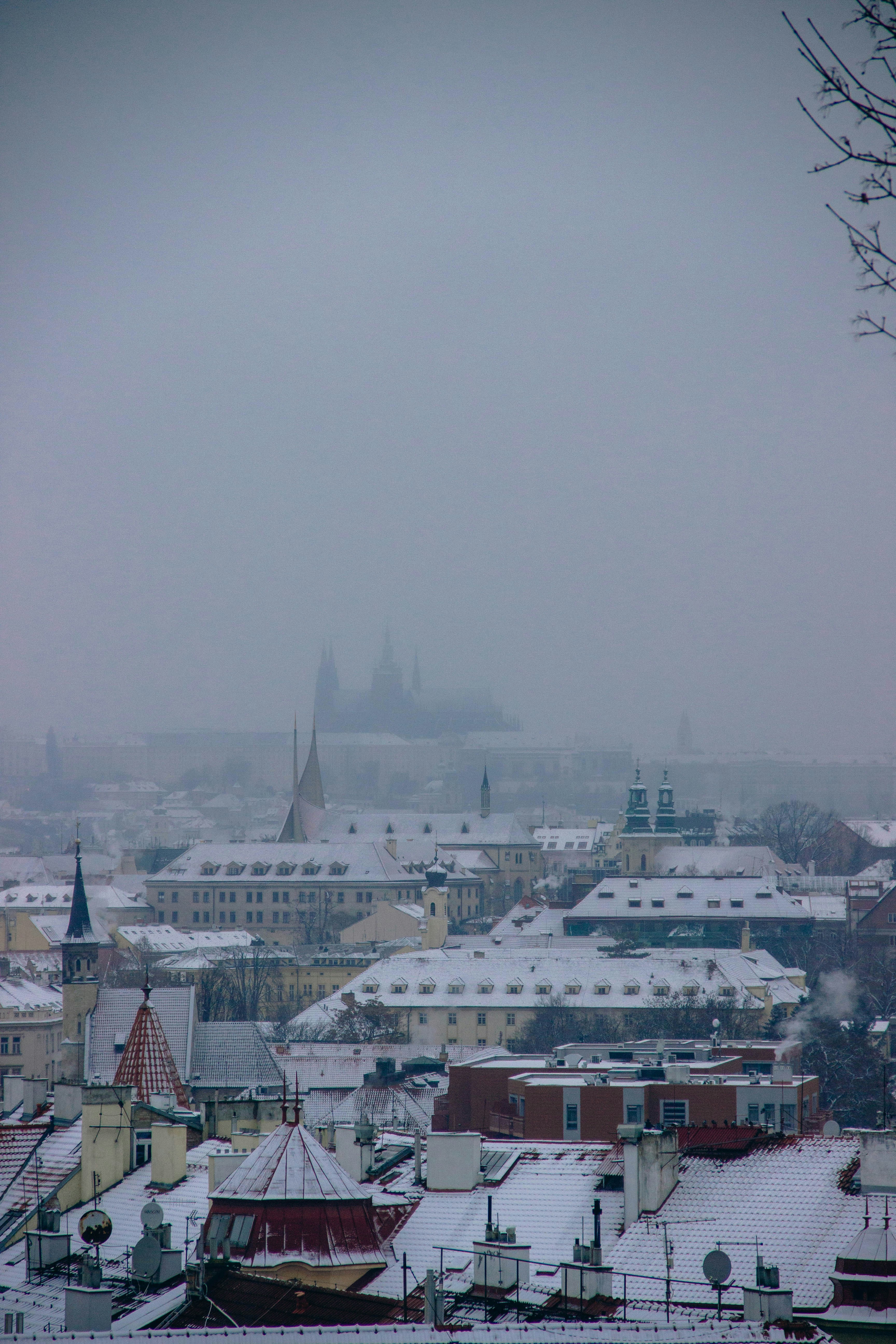 Photo by daniyarorazov