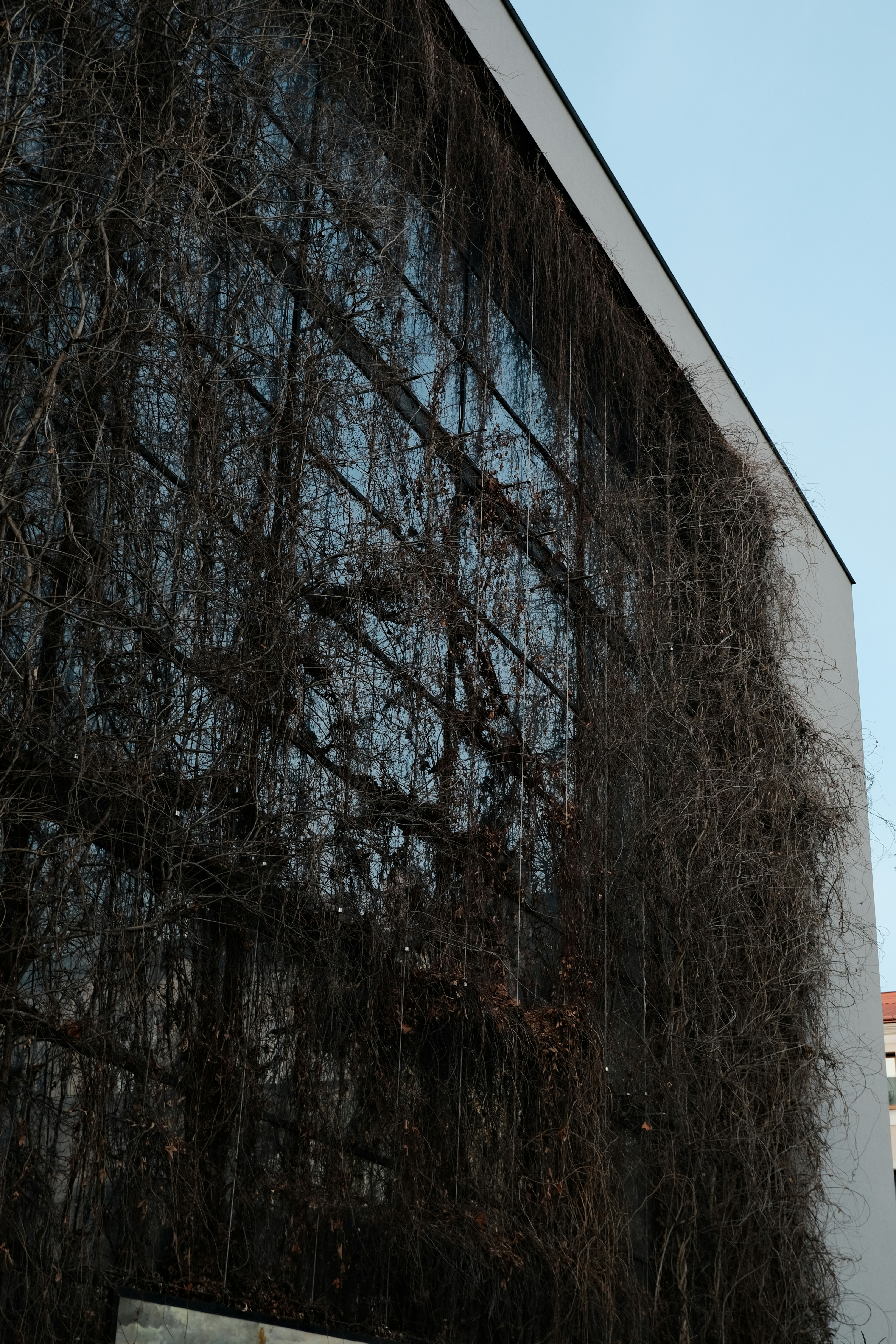 Photo by dawid_kochman