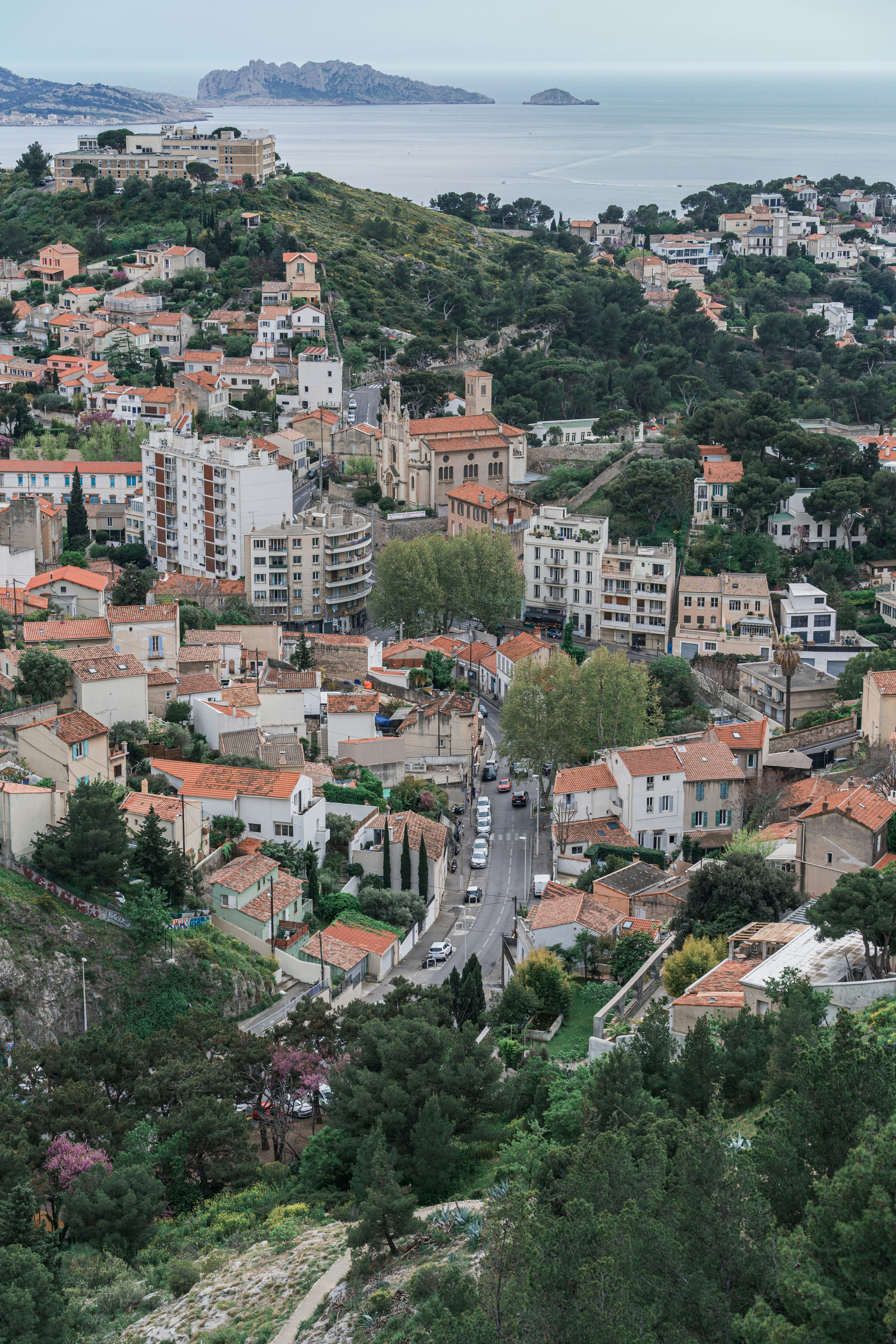 Photo by albert_canite