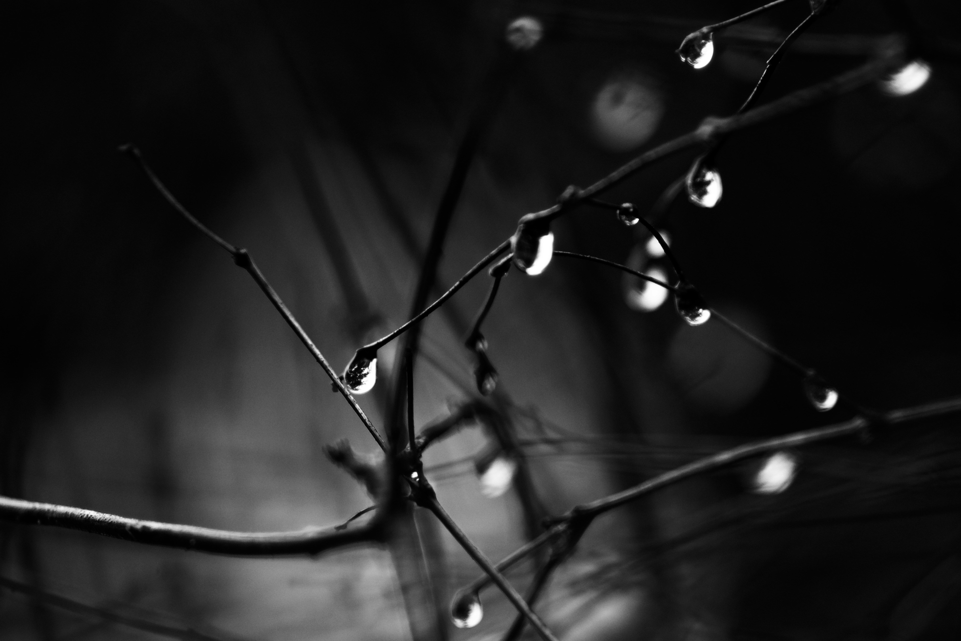 Photo by smithclukas