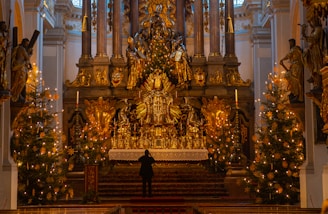A person standing in front of a christmas tree