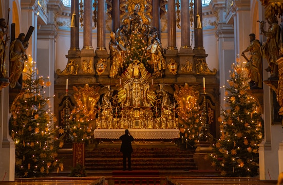 A person standing in front of a christmas tree