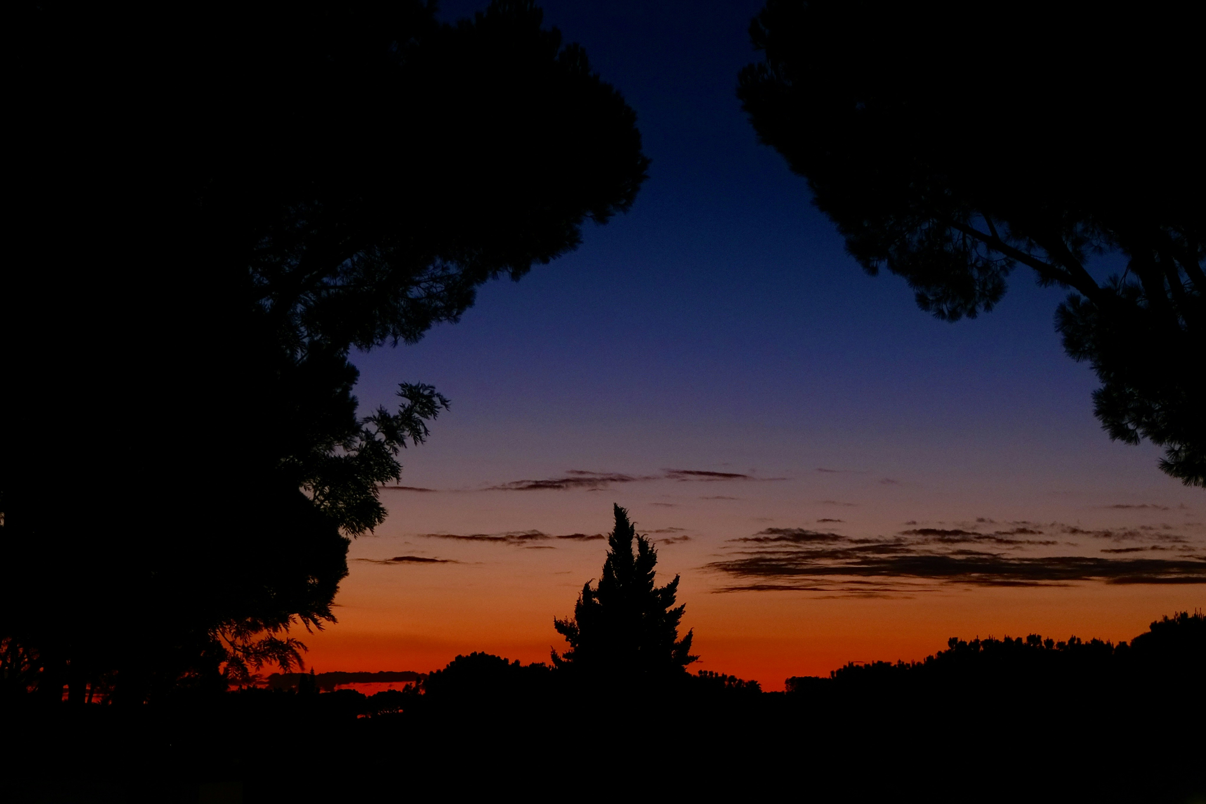 Faro