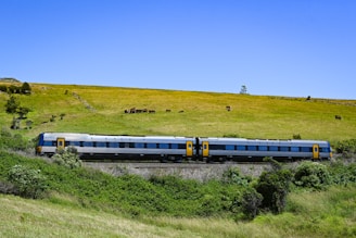 A train traveling through a lush green countryside