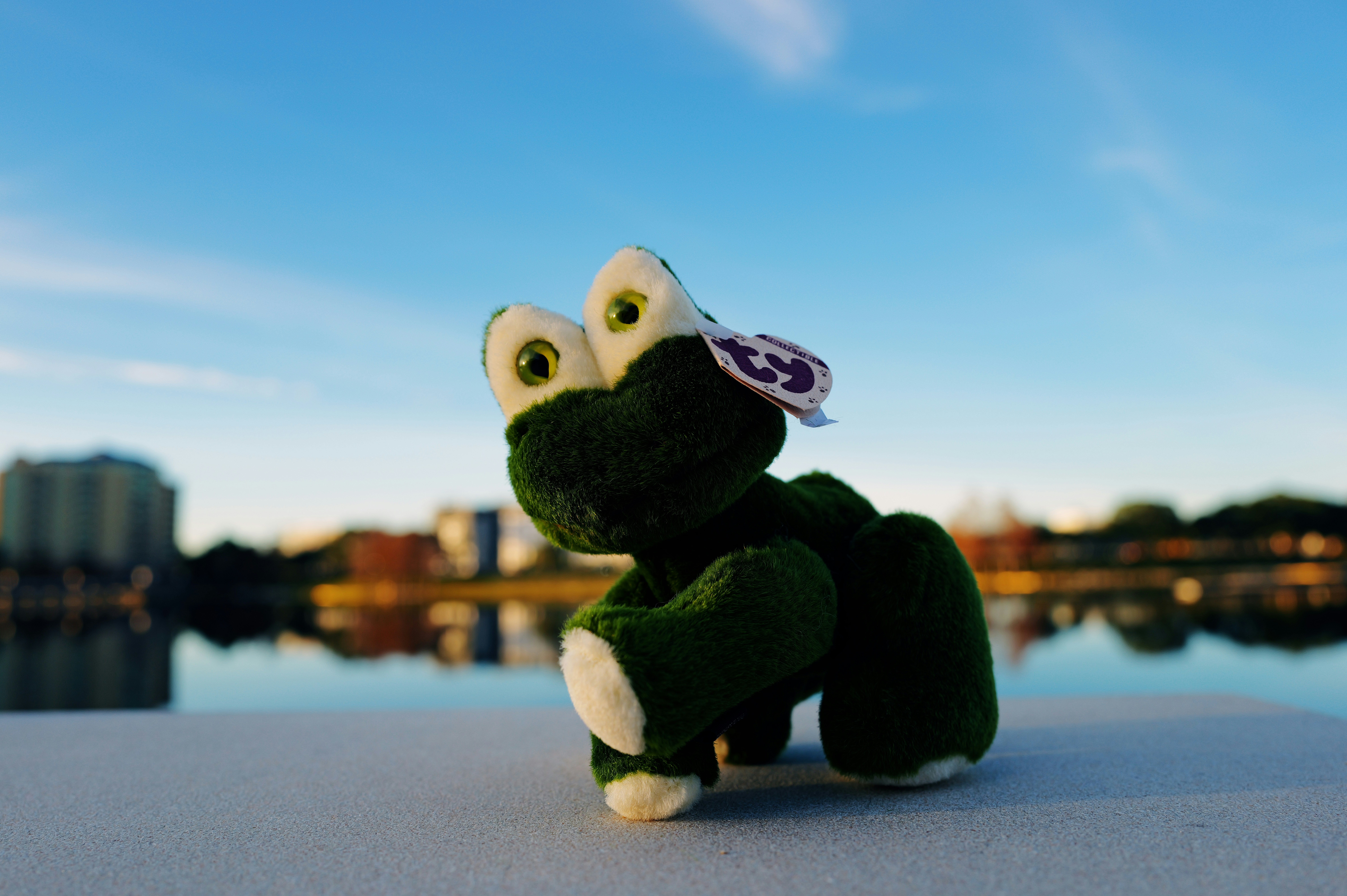 Photo by thephotochad