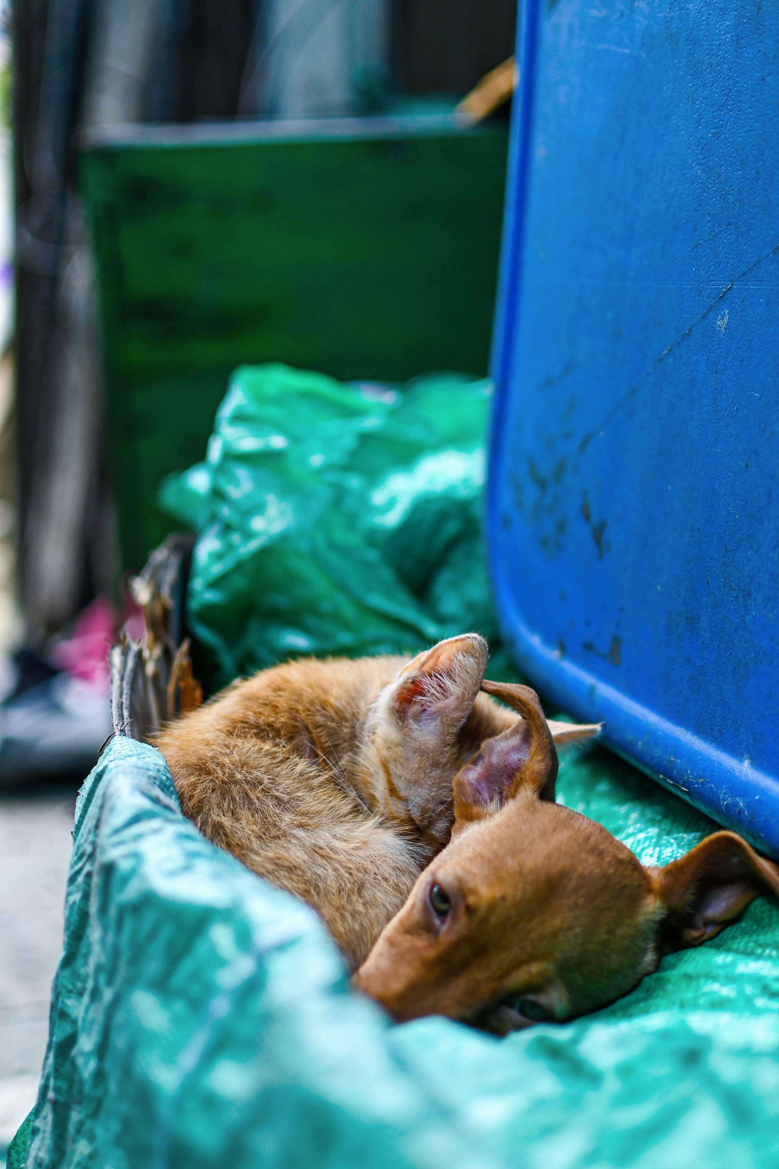 Photo by guzman123456