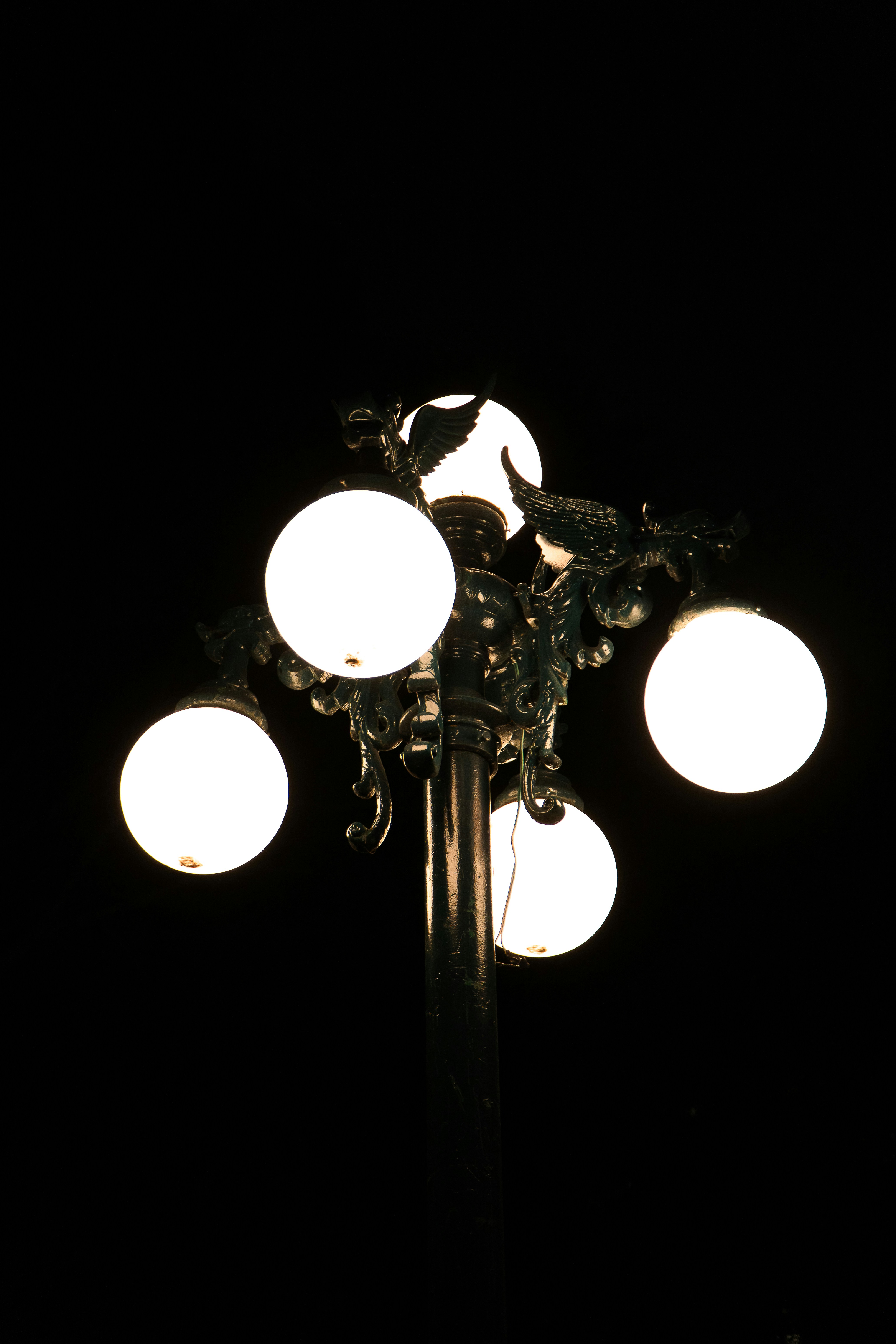 Photo by elevate_concepts