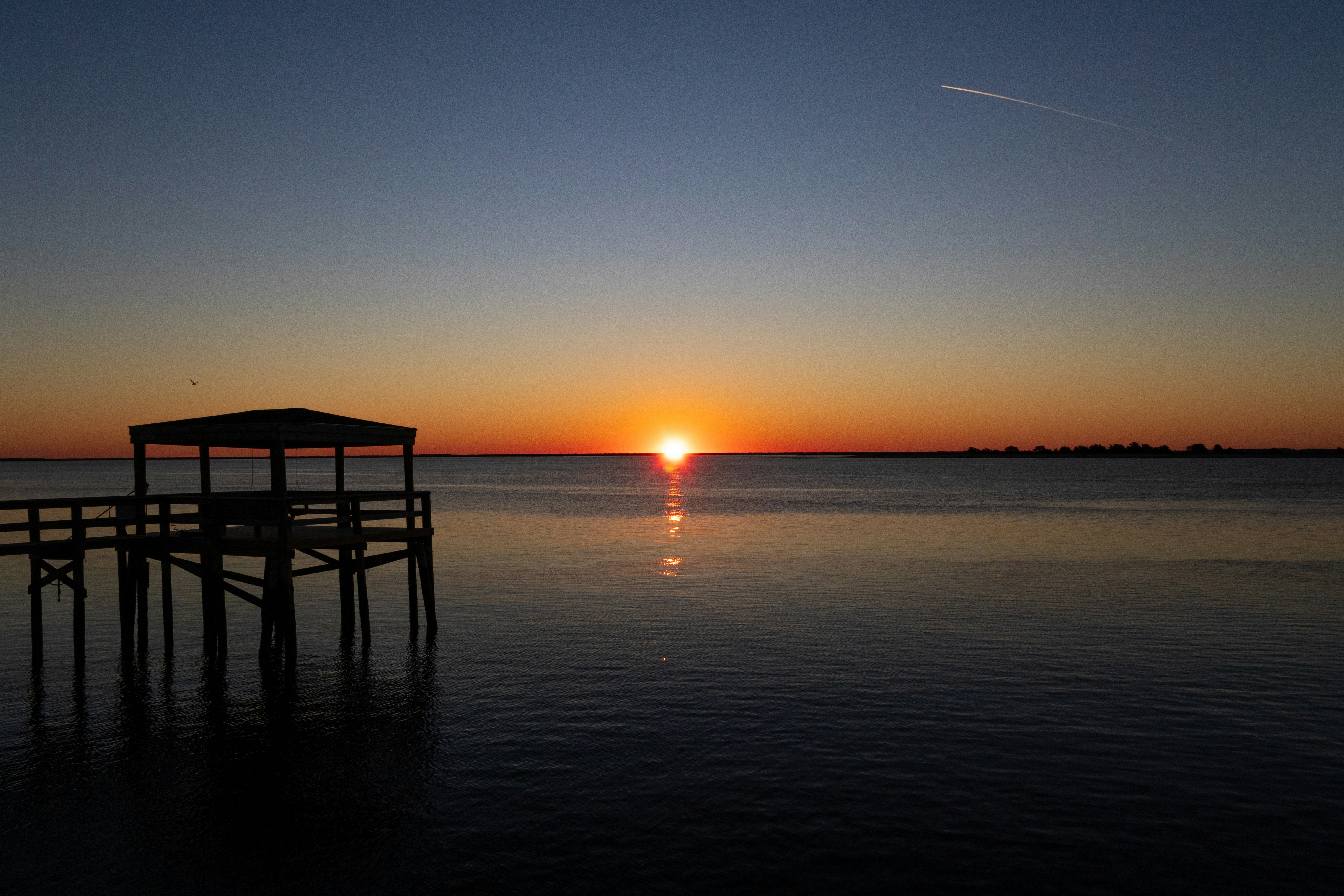 Photo by seraphimchaz