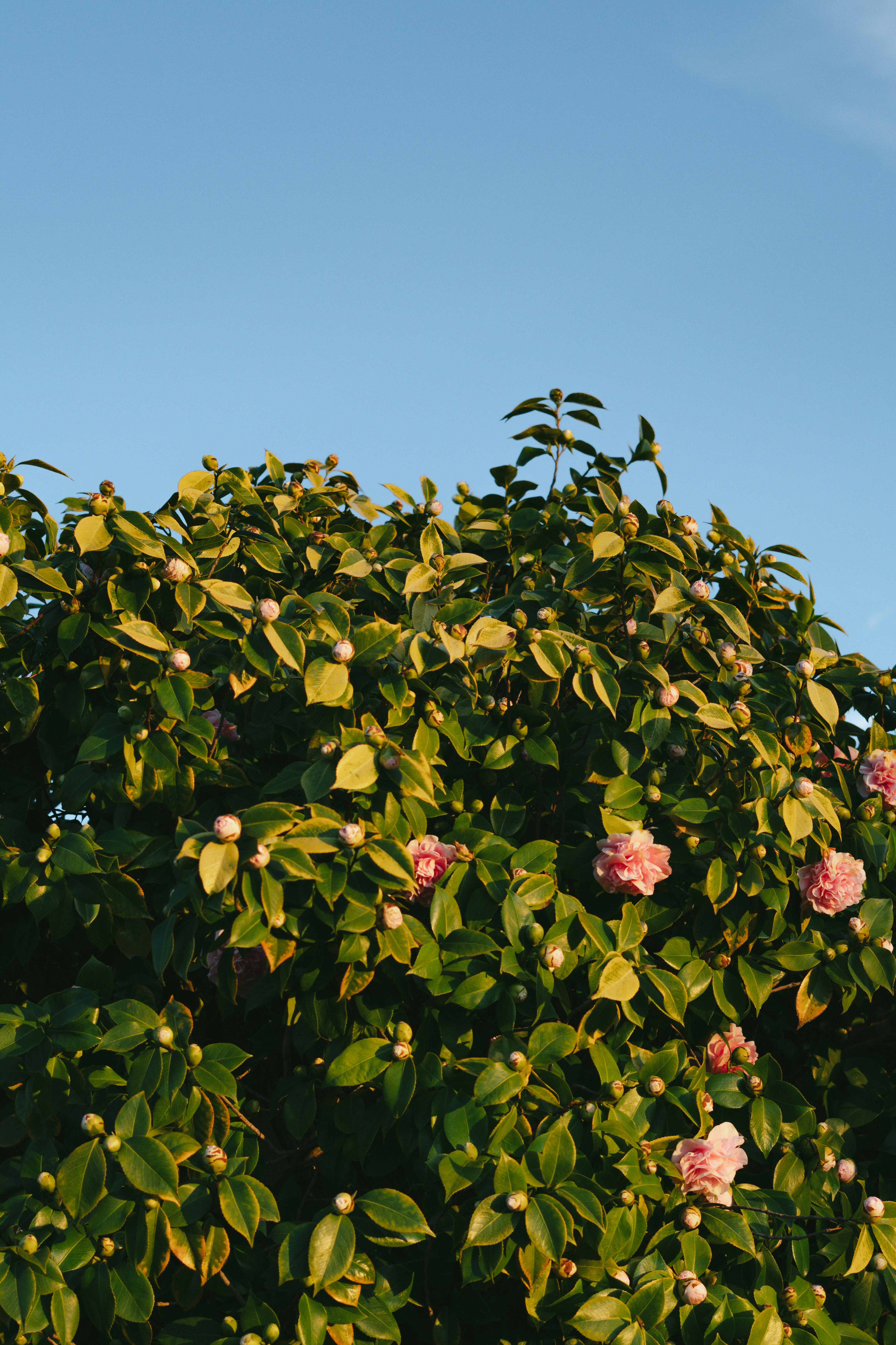 Photo by christopherstites