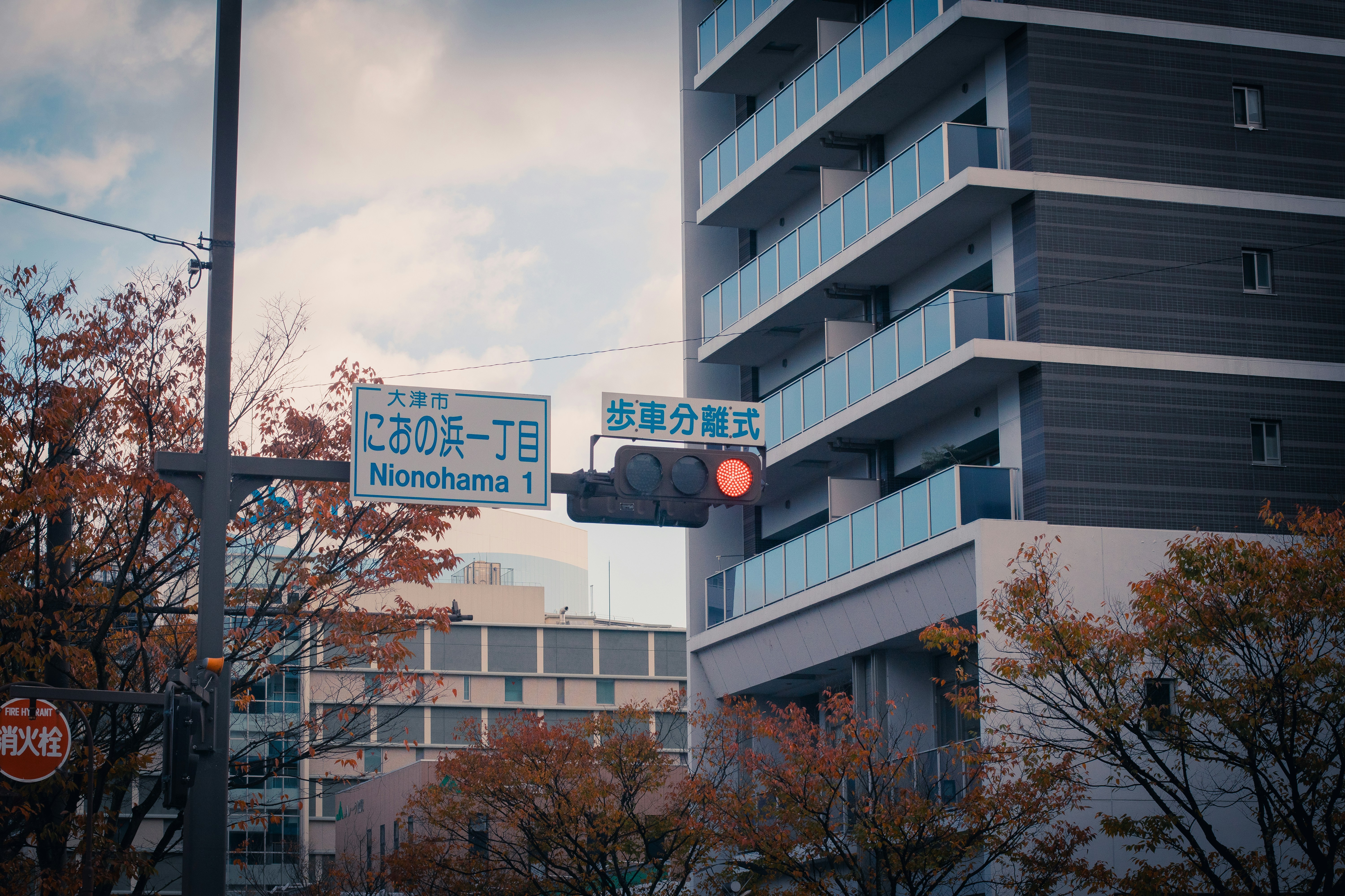 Photo by cosmos007