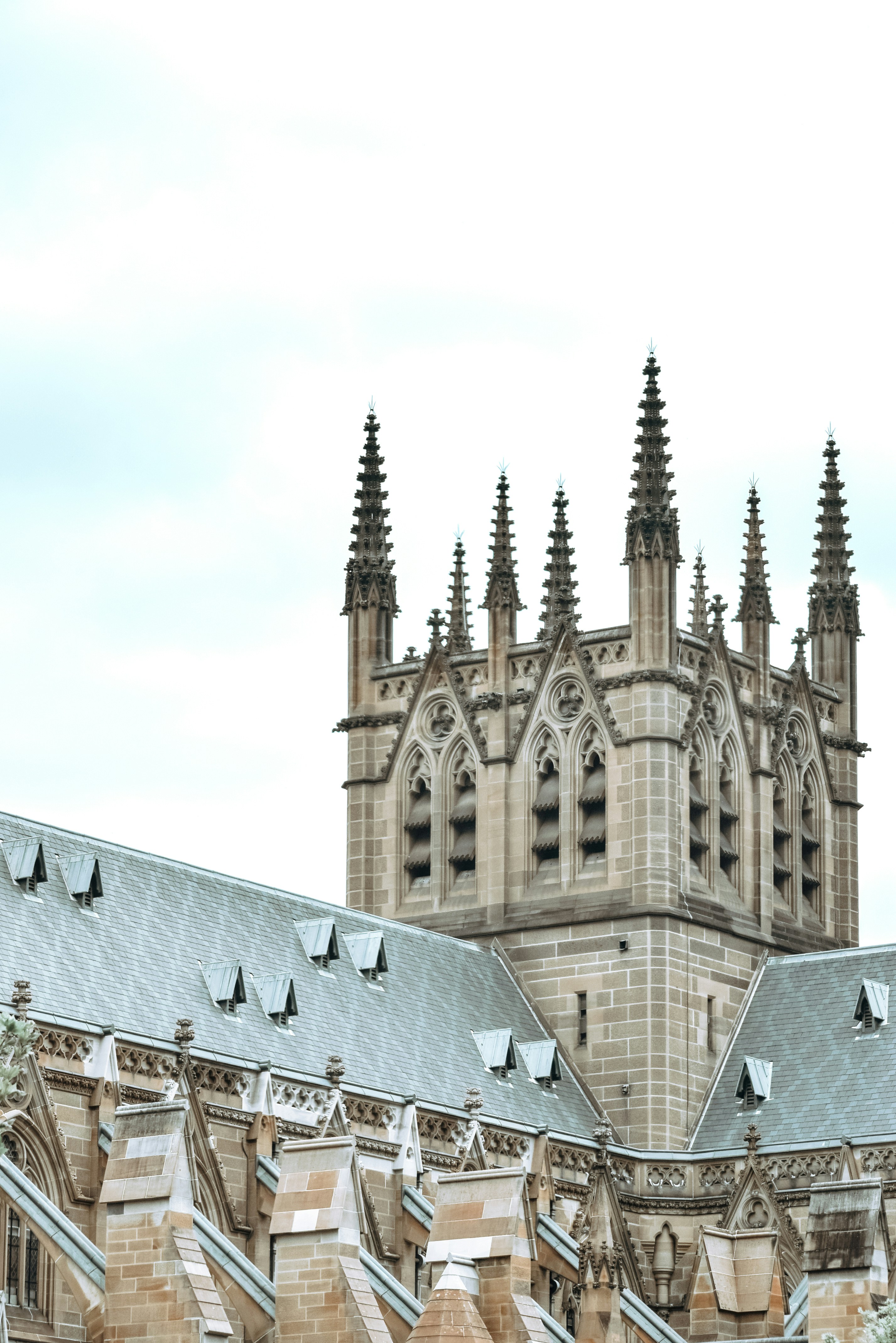 Photo by amandaswanepoel