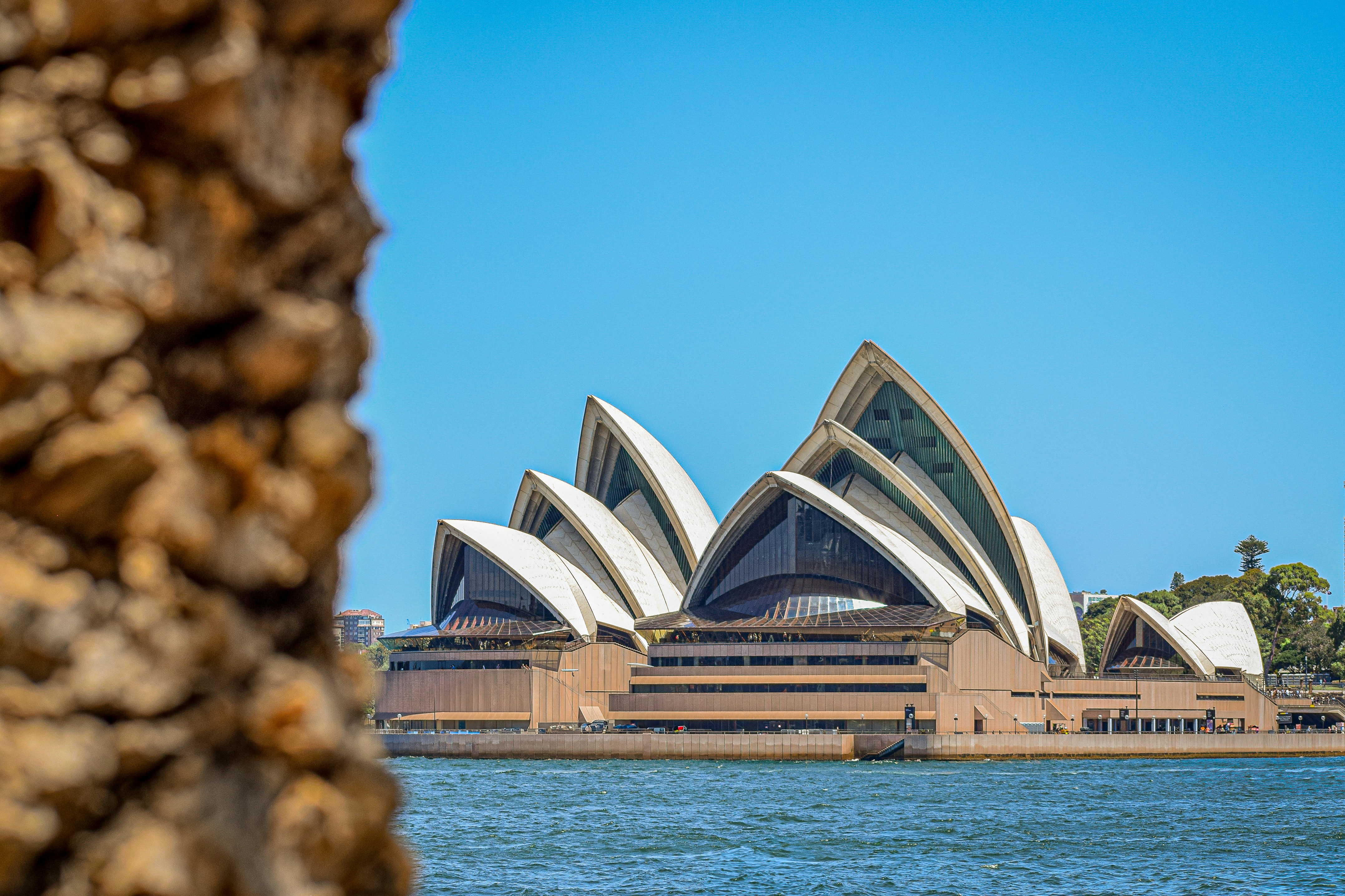 Photo by amandaswanepoel