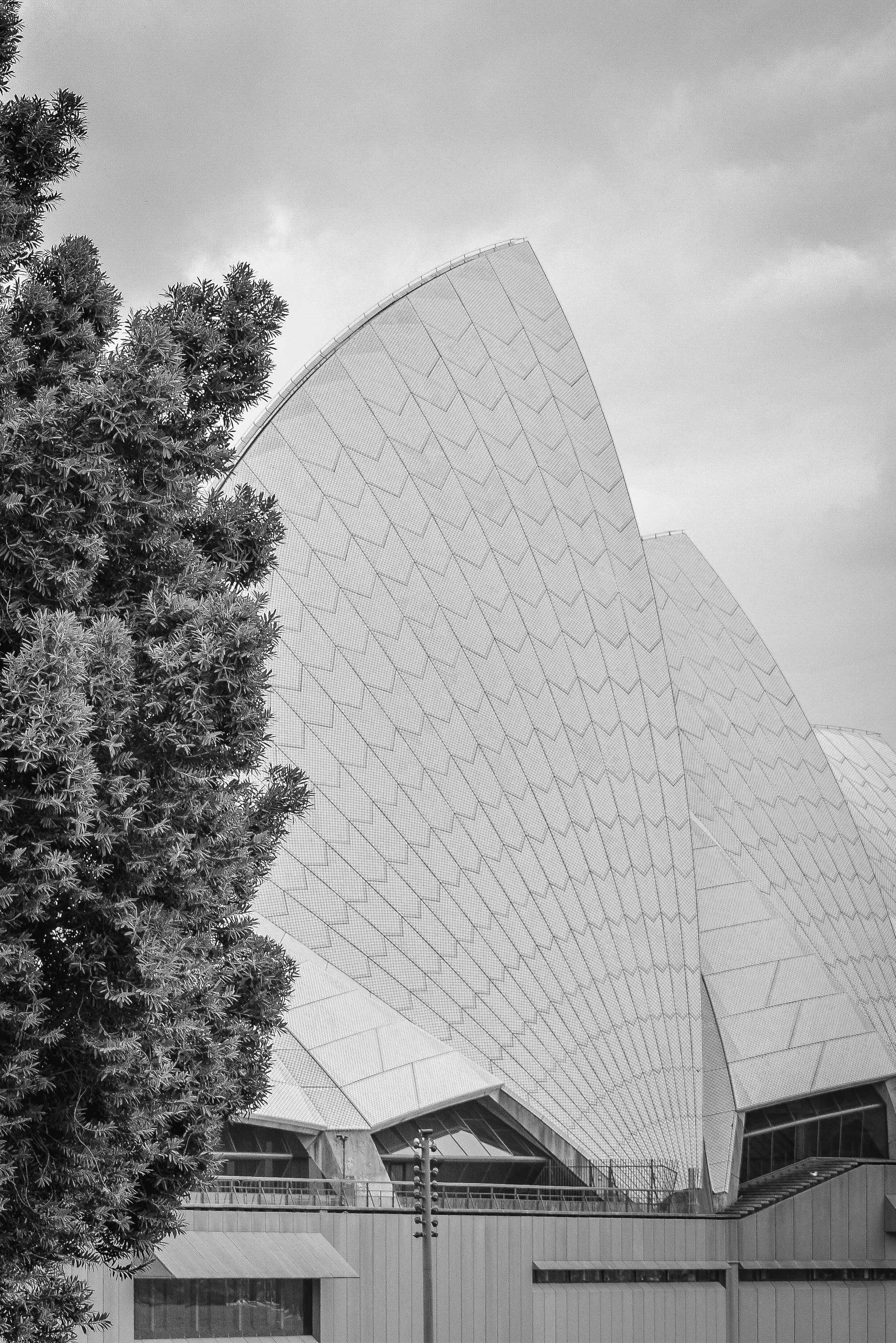 Photo by amandaswanepoel