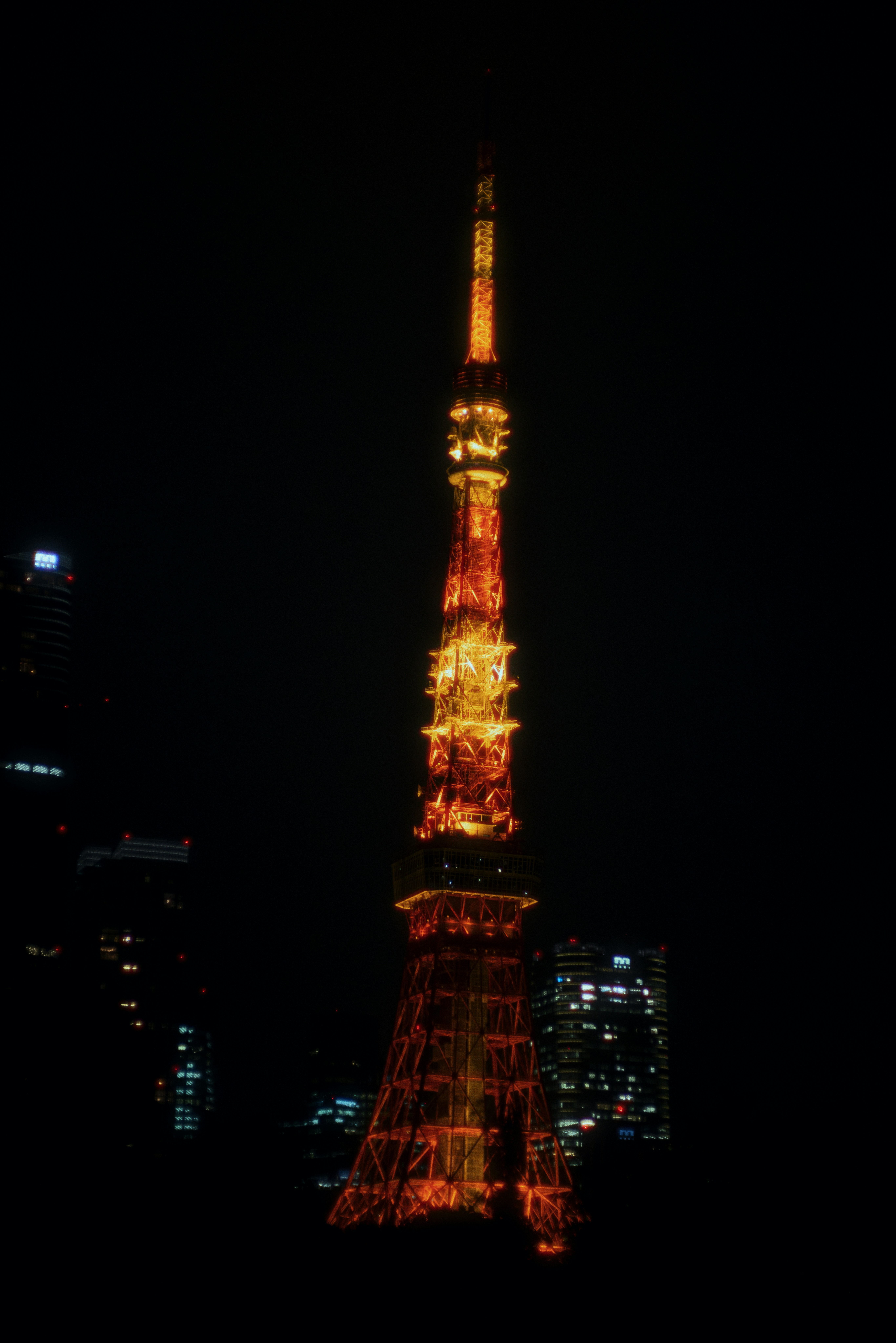Photo by ninjason