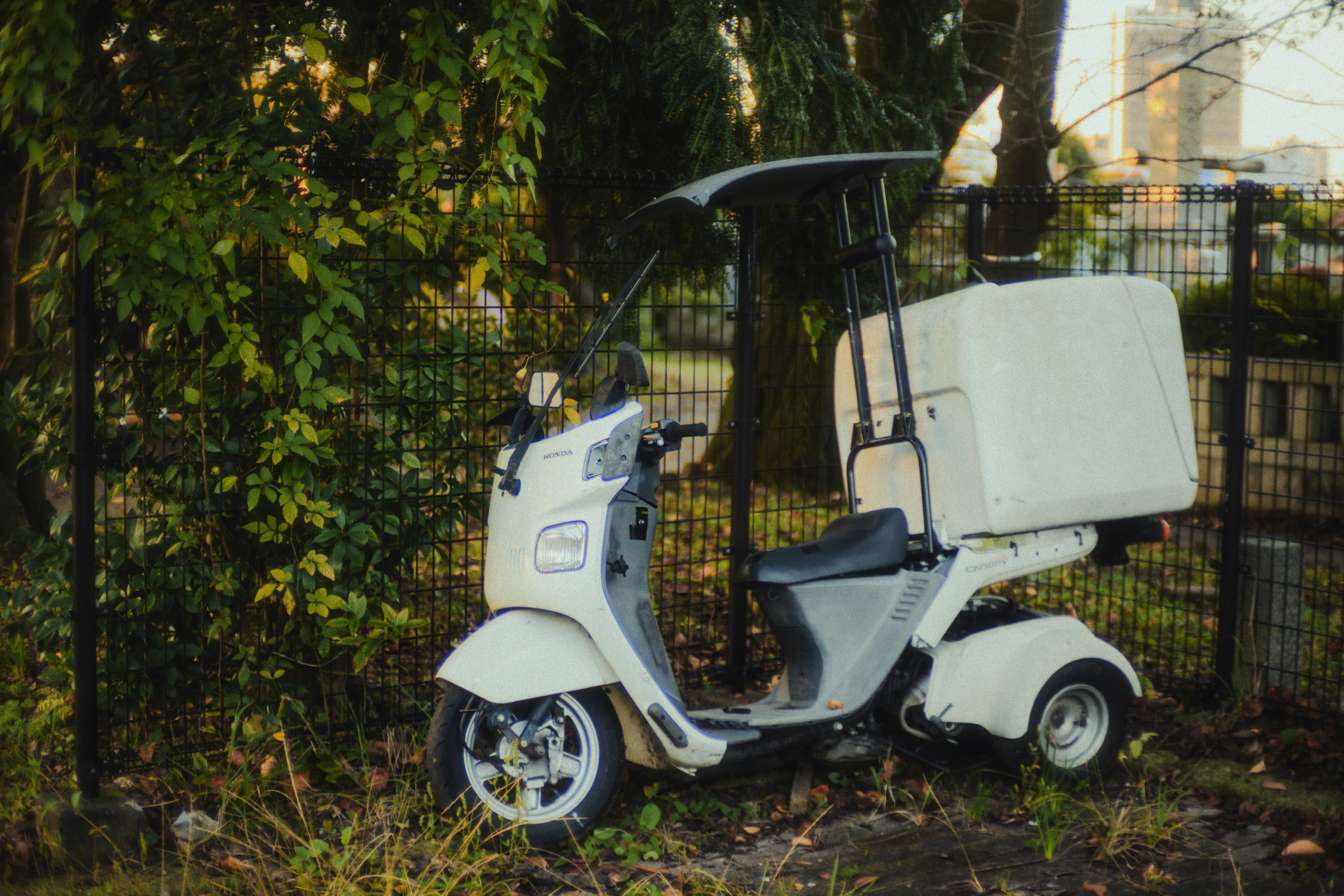 Electric Golf Cart Battery