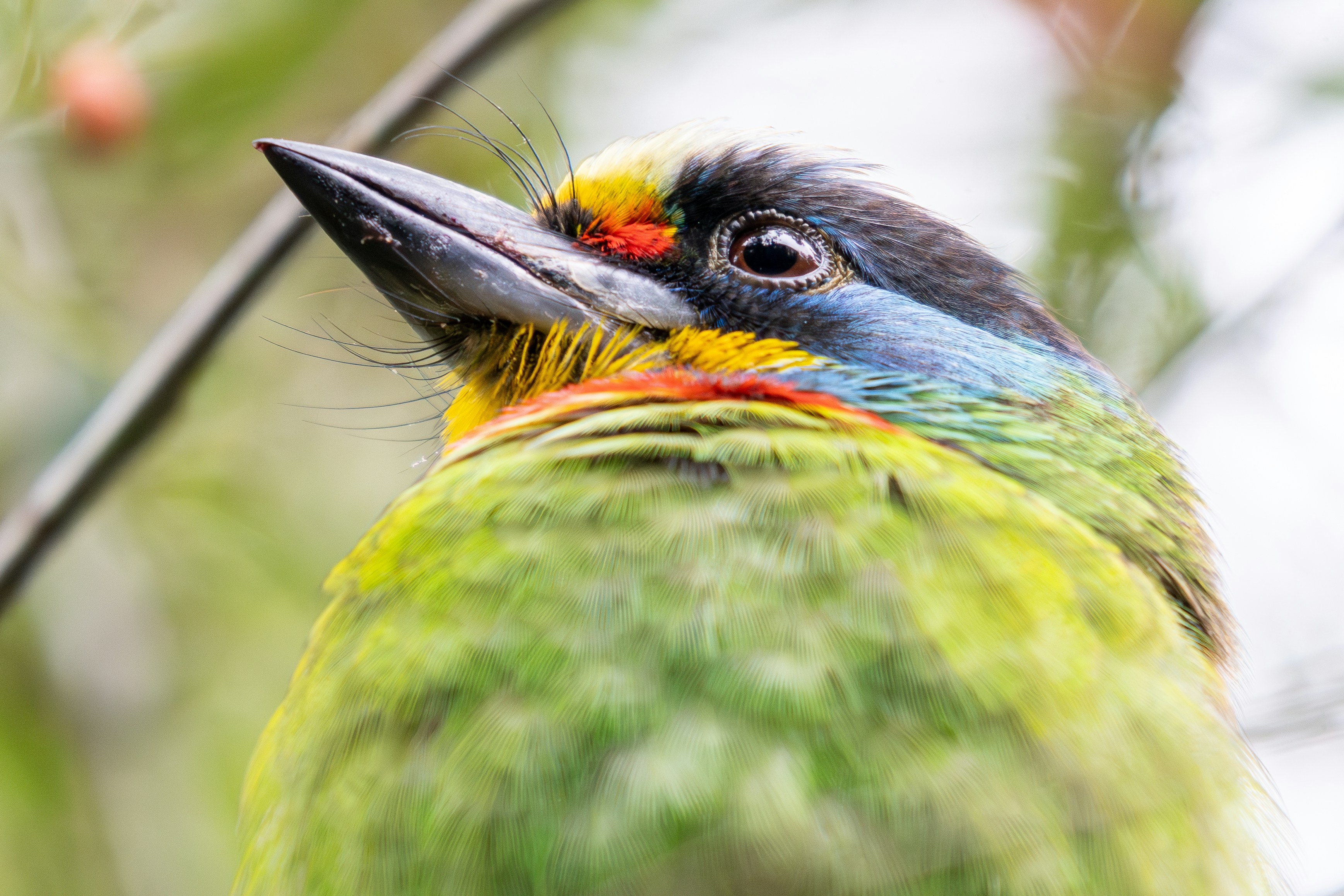 Photo by winstonchen