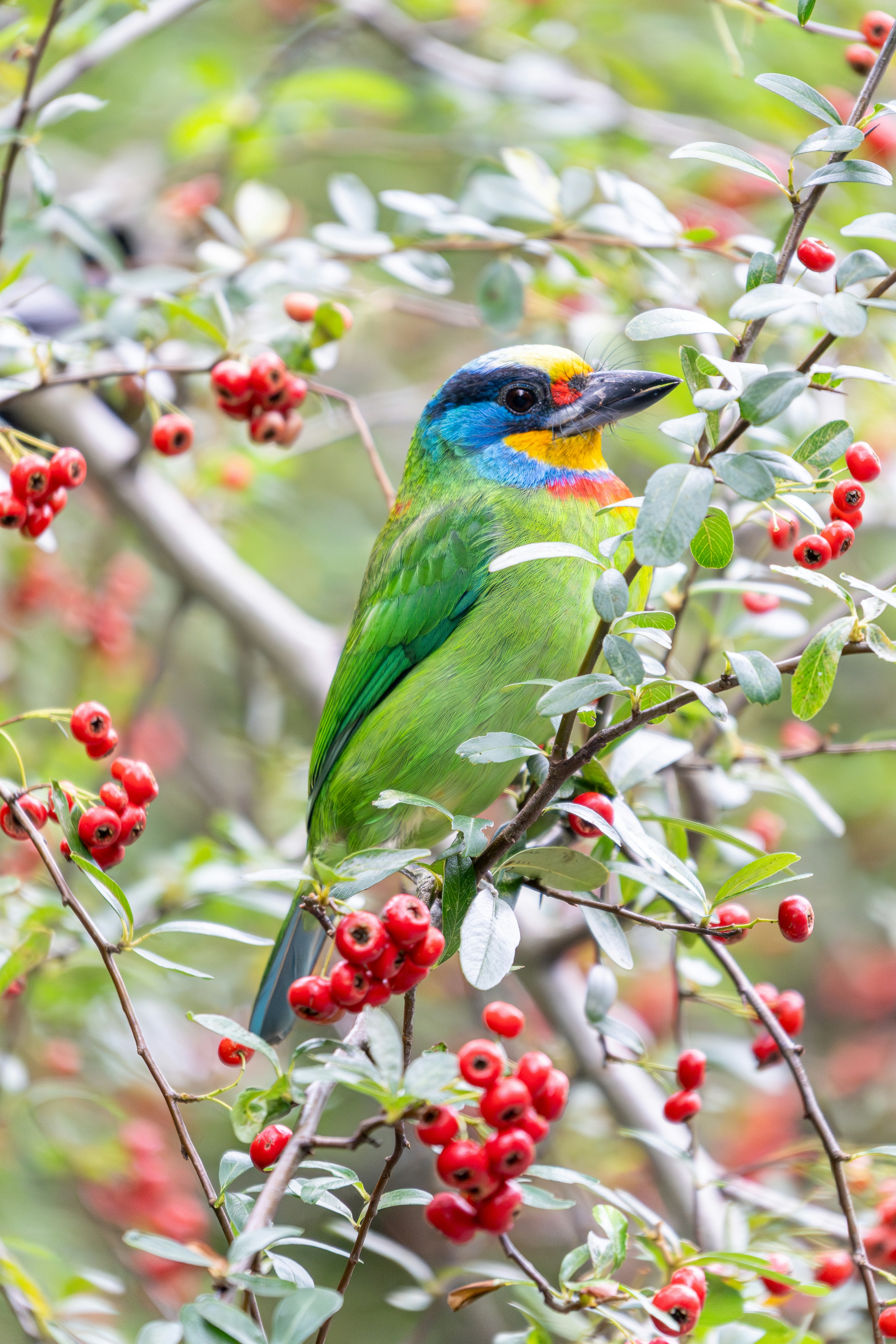 Photo by winstonchen