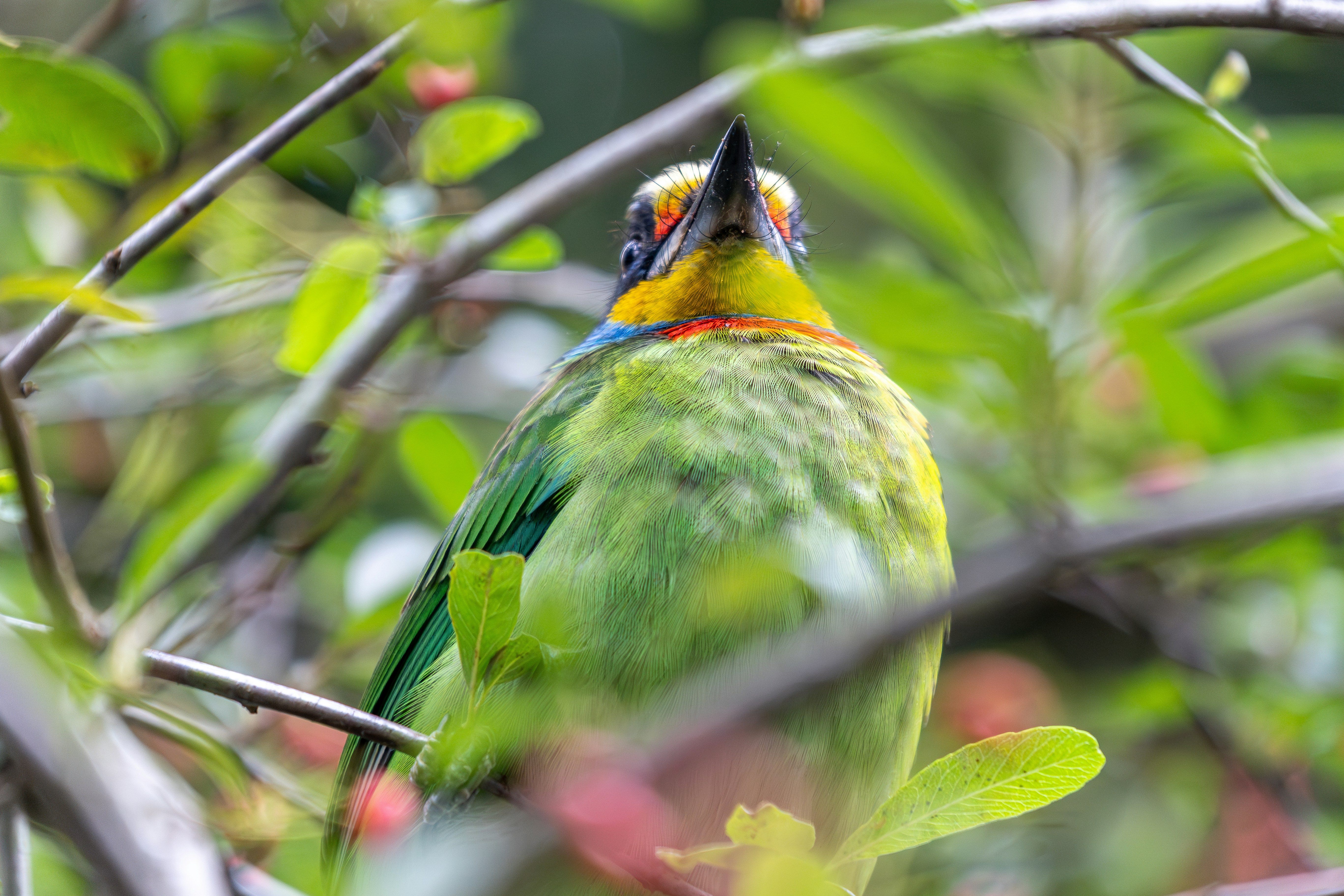 Photo by winstonchen