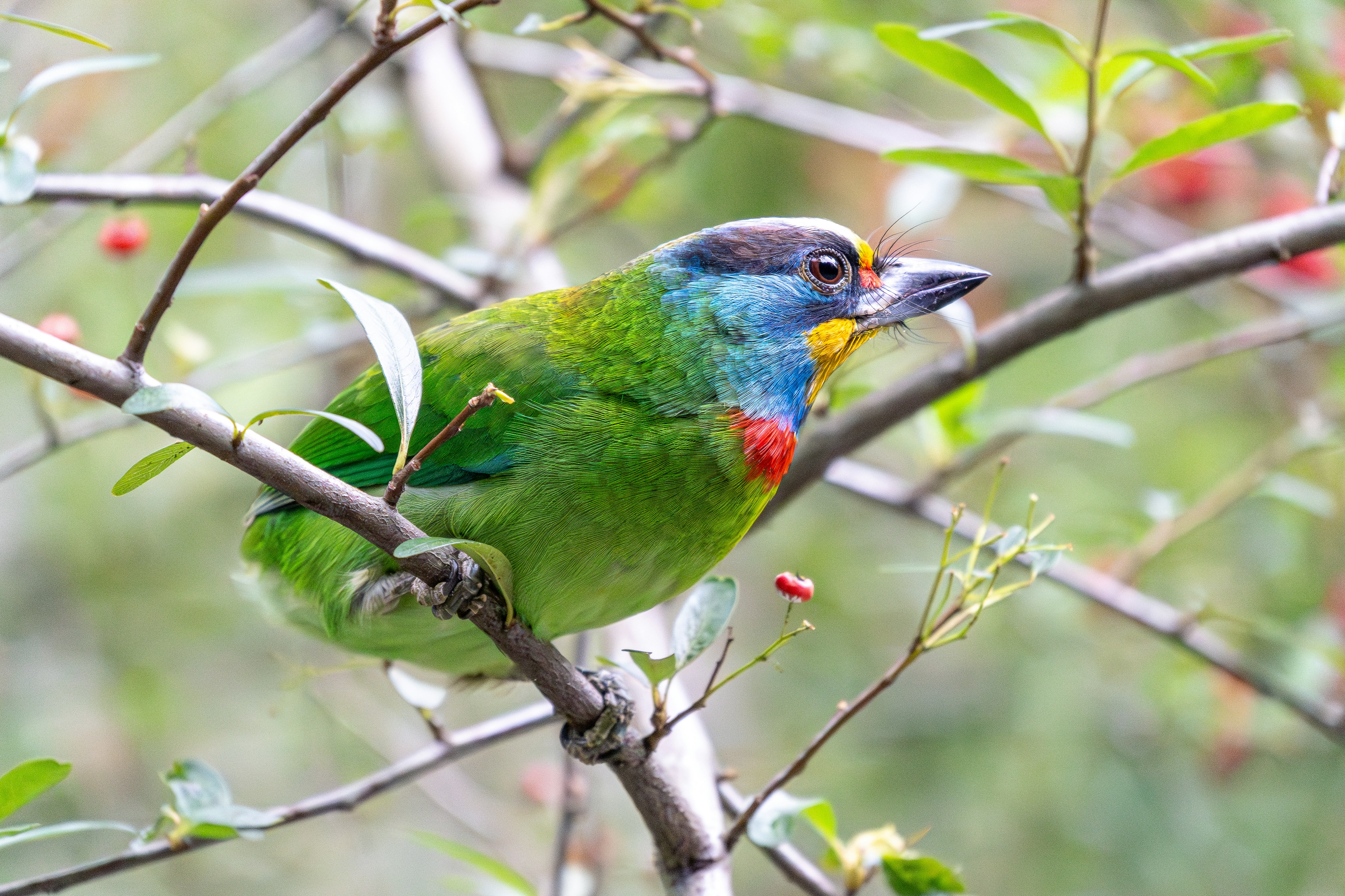 Photo by winstonchen