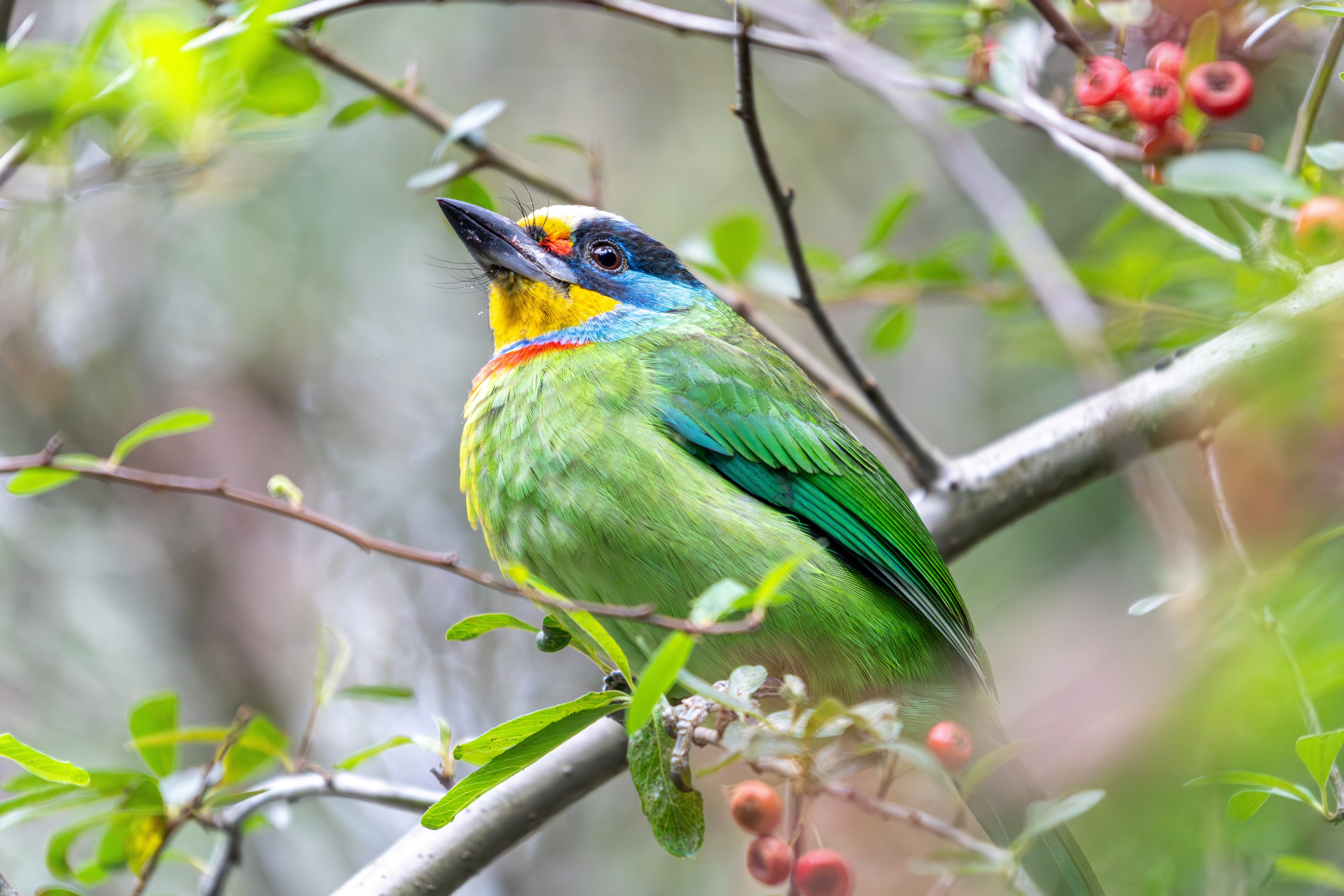 Photo by winstonchen