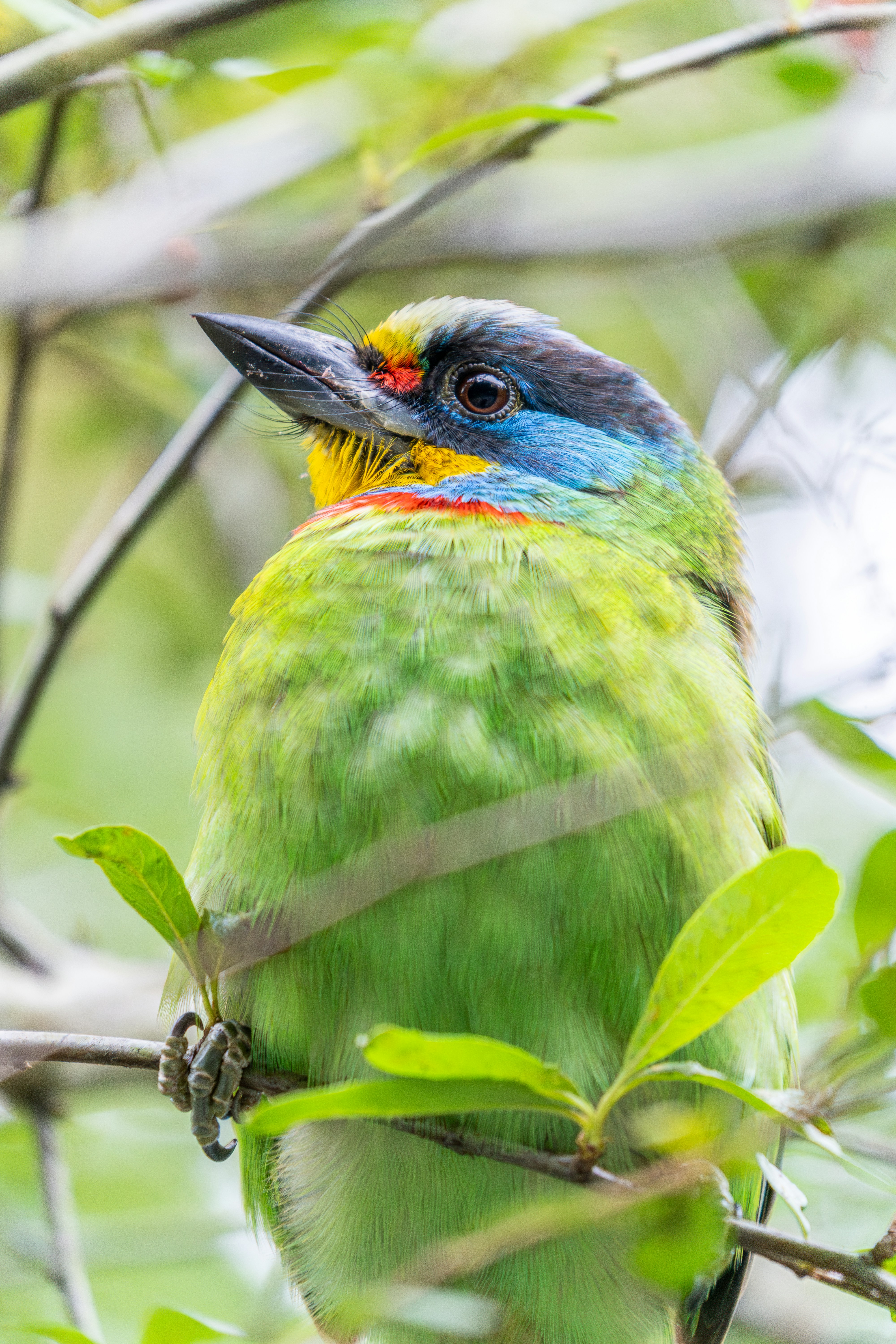 Photo by winstonchen