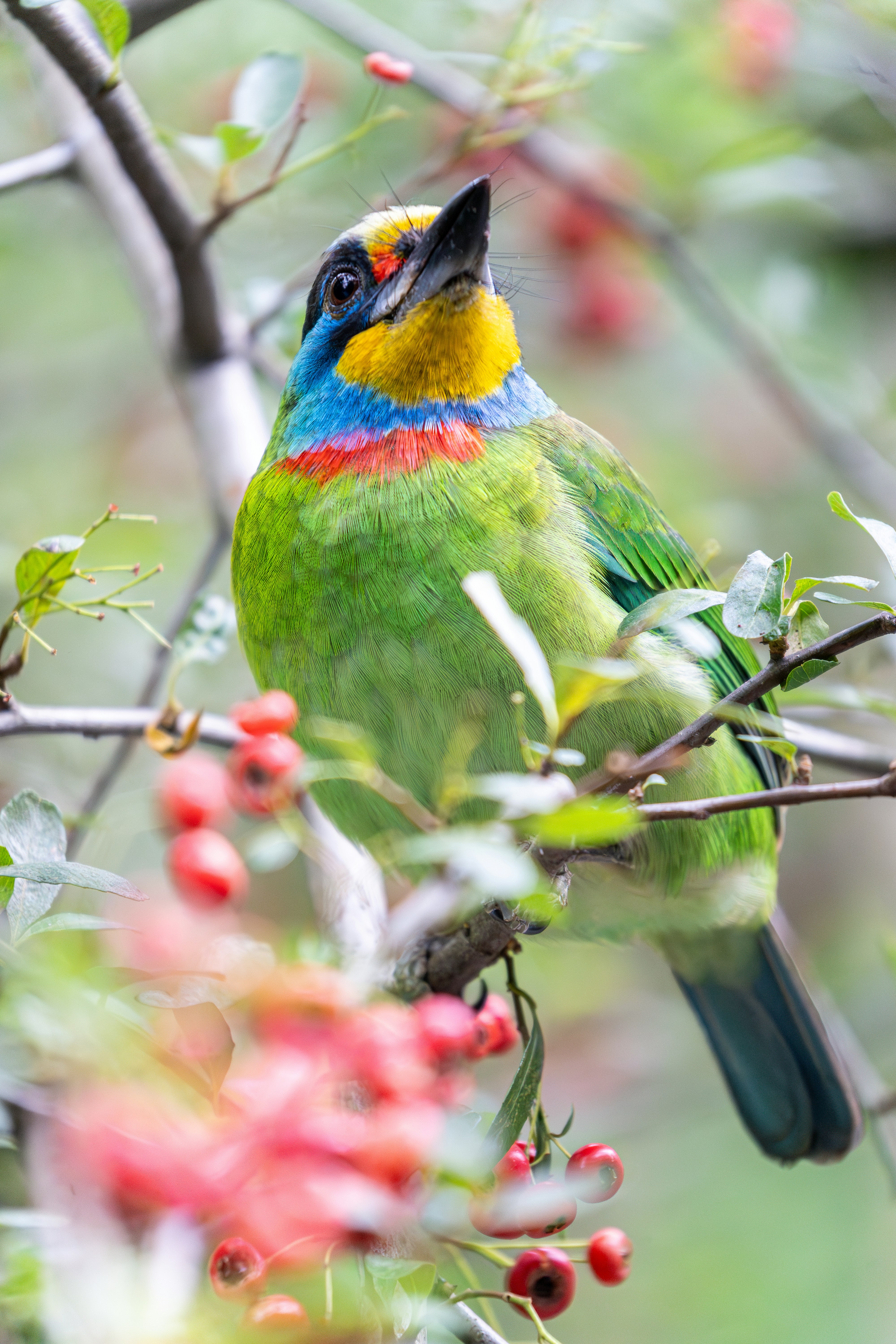 Photo by winstonchen