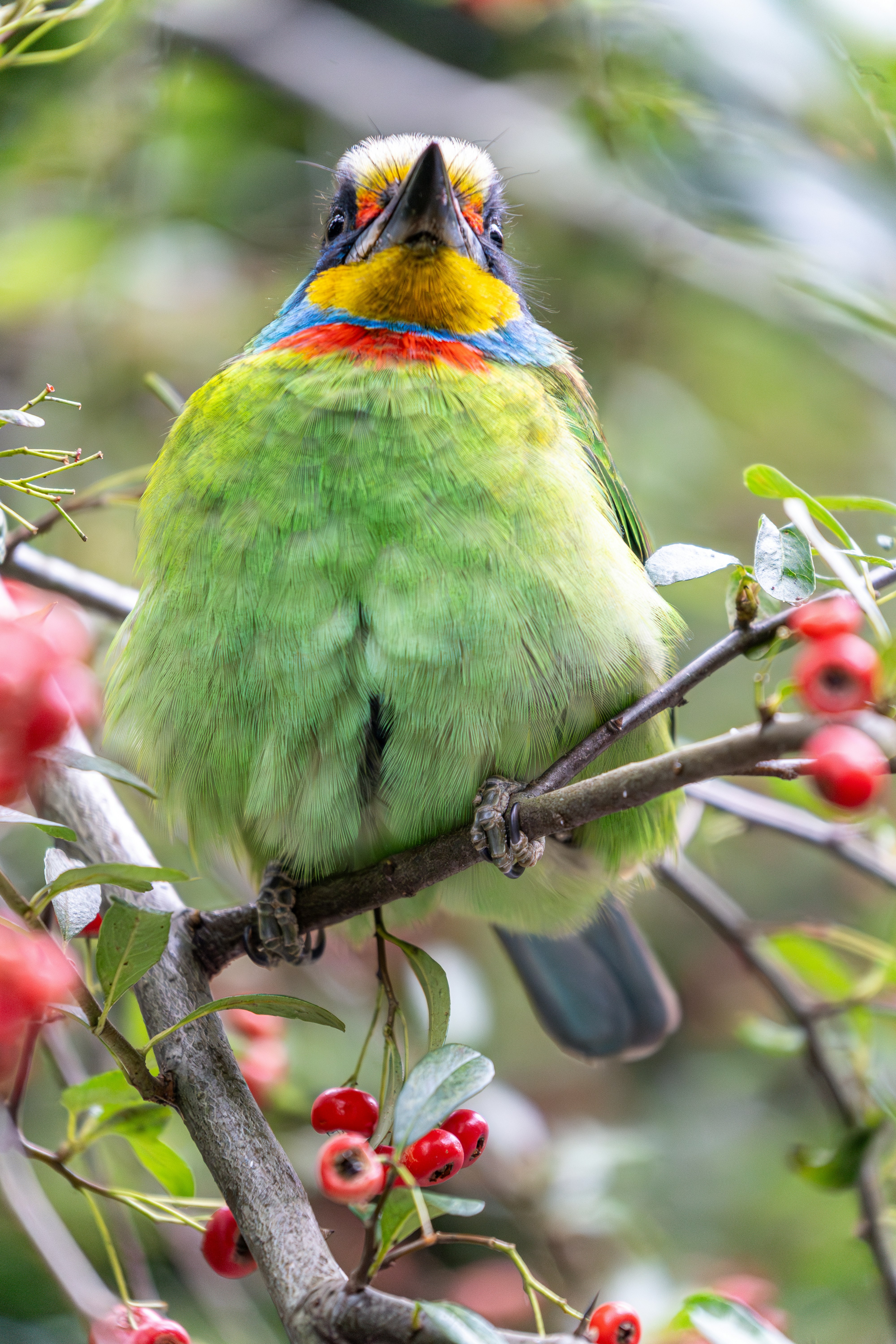 Photo by winstonchen