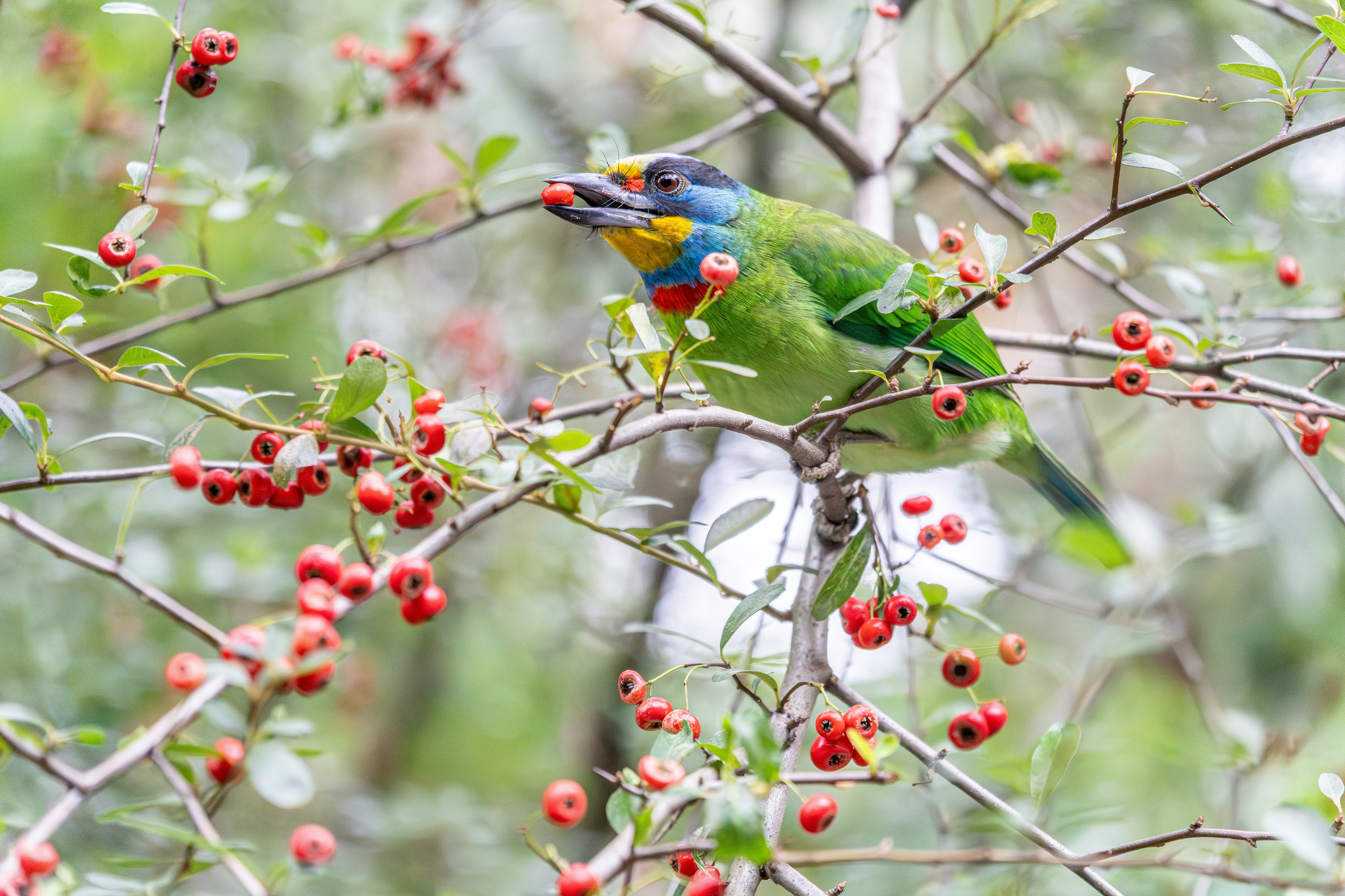 Photo by winstonchen