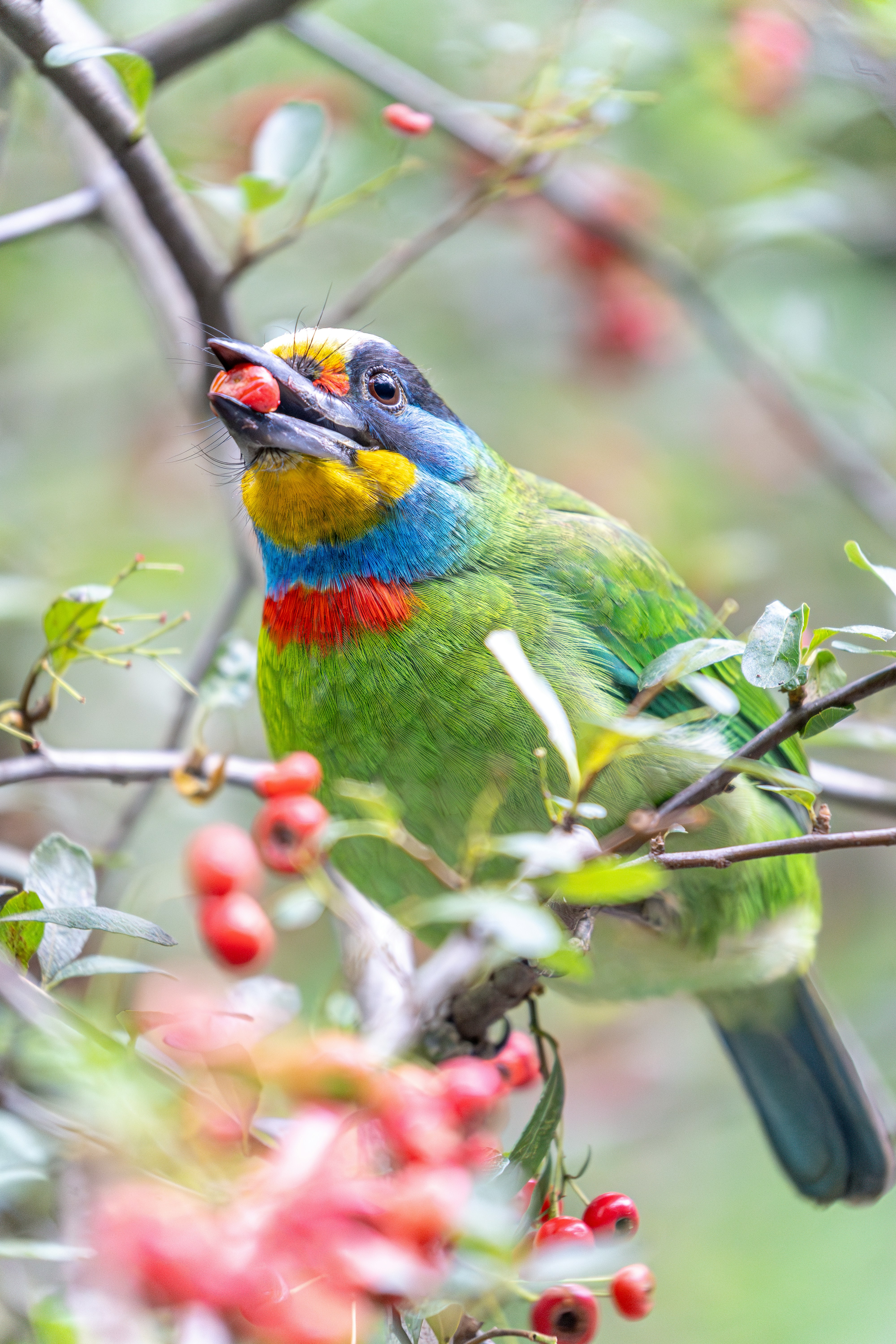 Photo by winstonchen