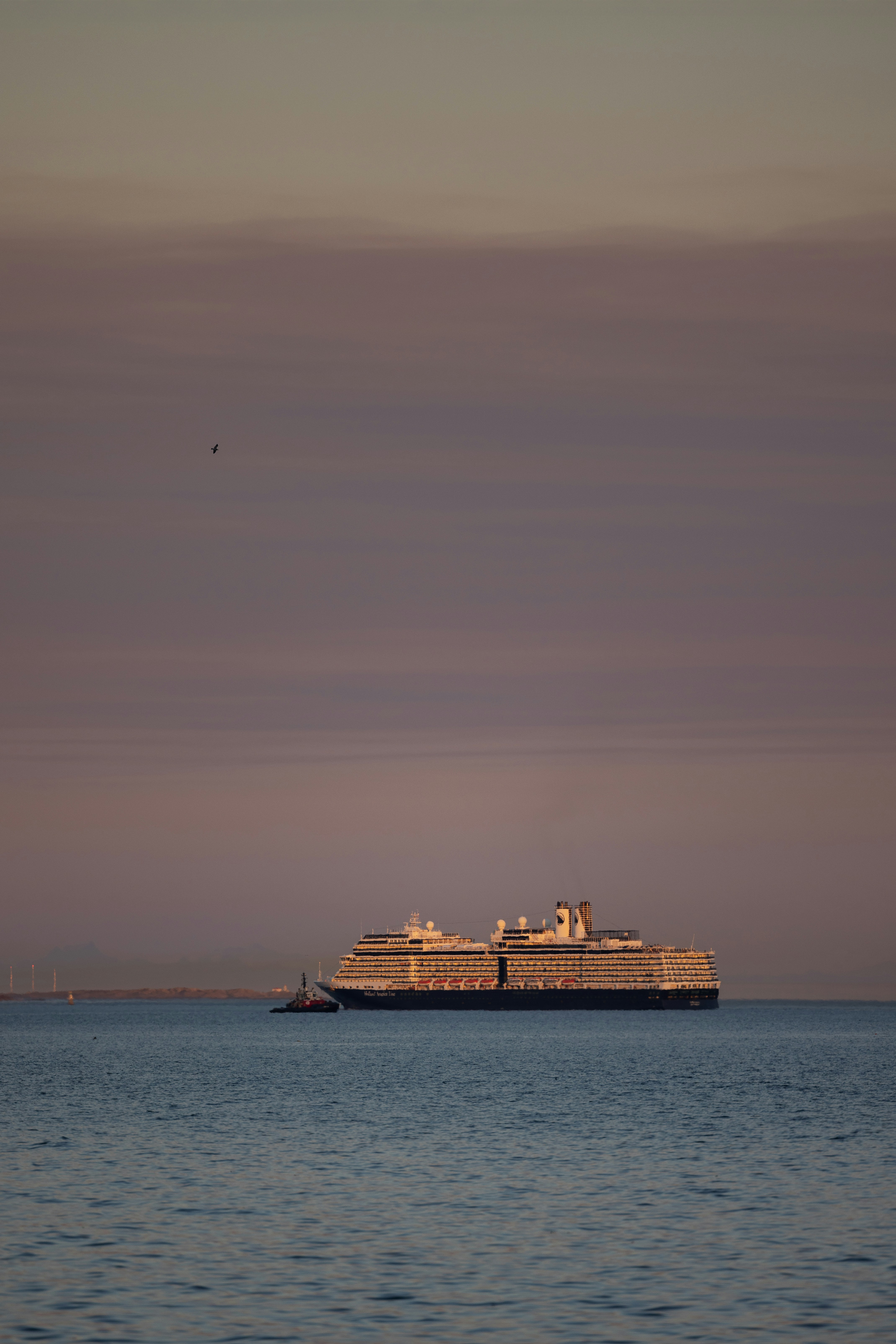 A cruise ship sailing in the ocean at dusk