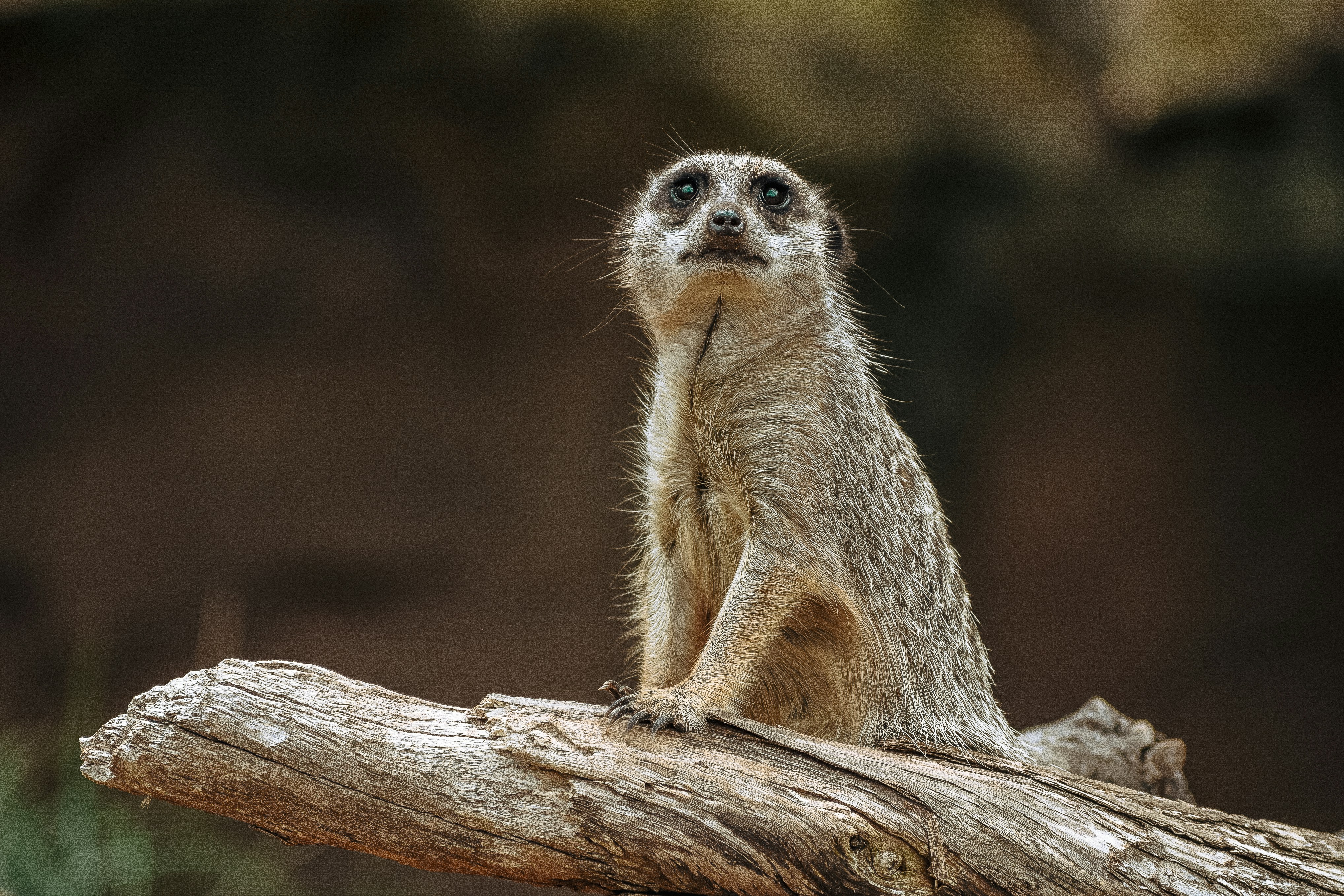 Photo by amandaswanepoel