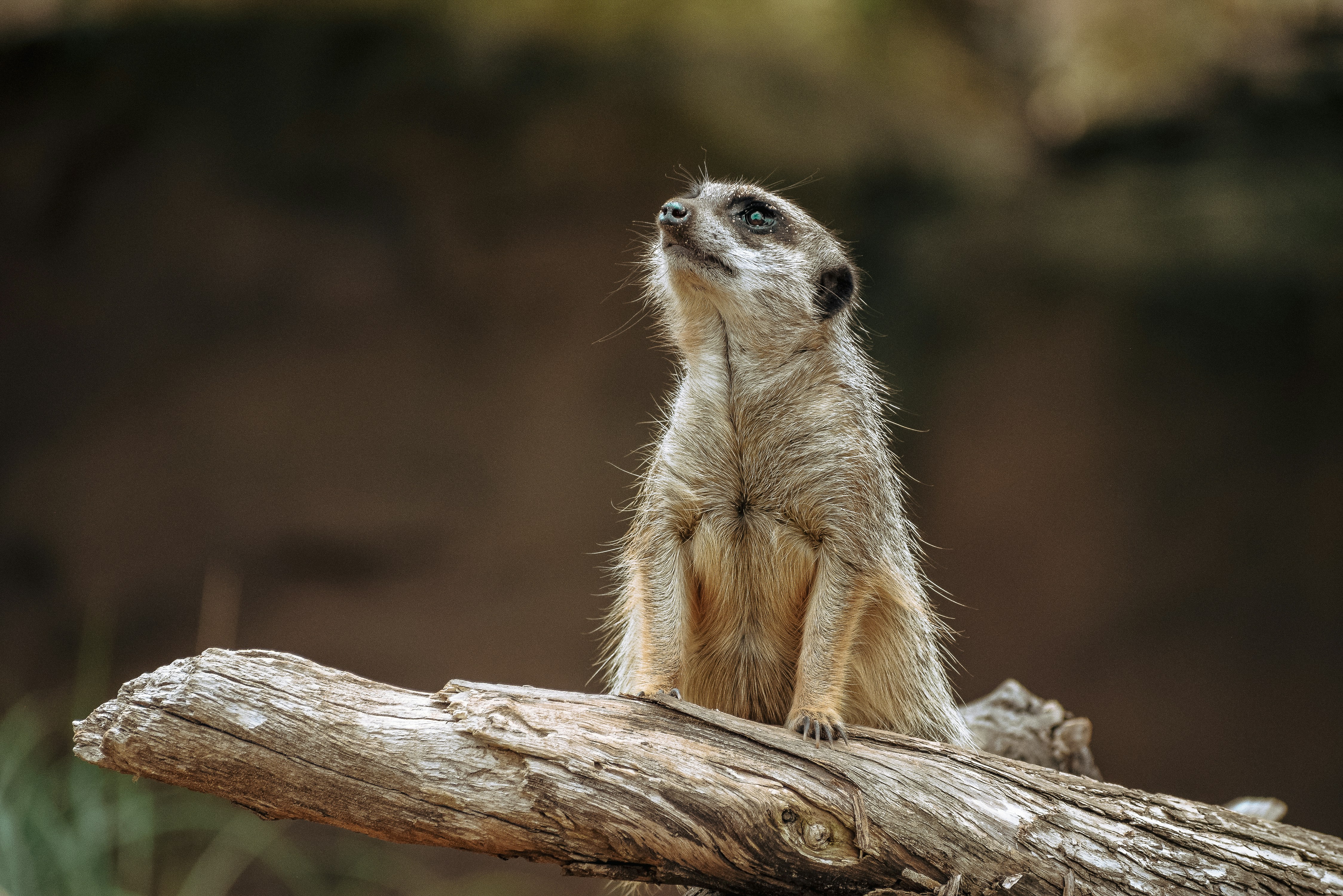 Photo by amandaswanepoel