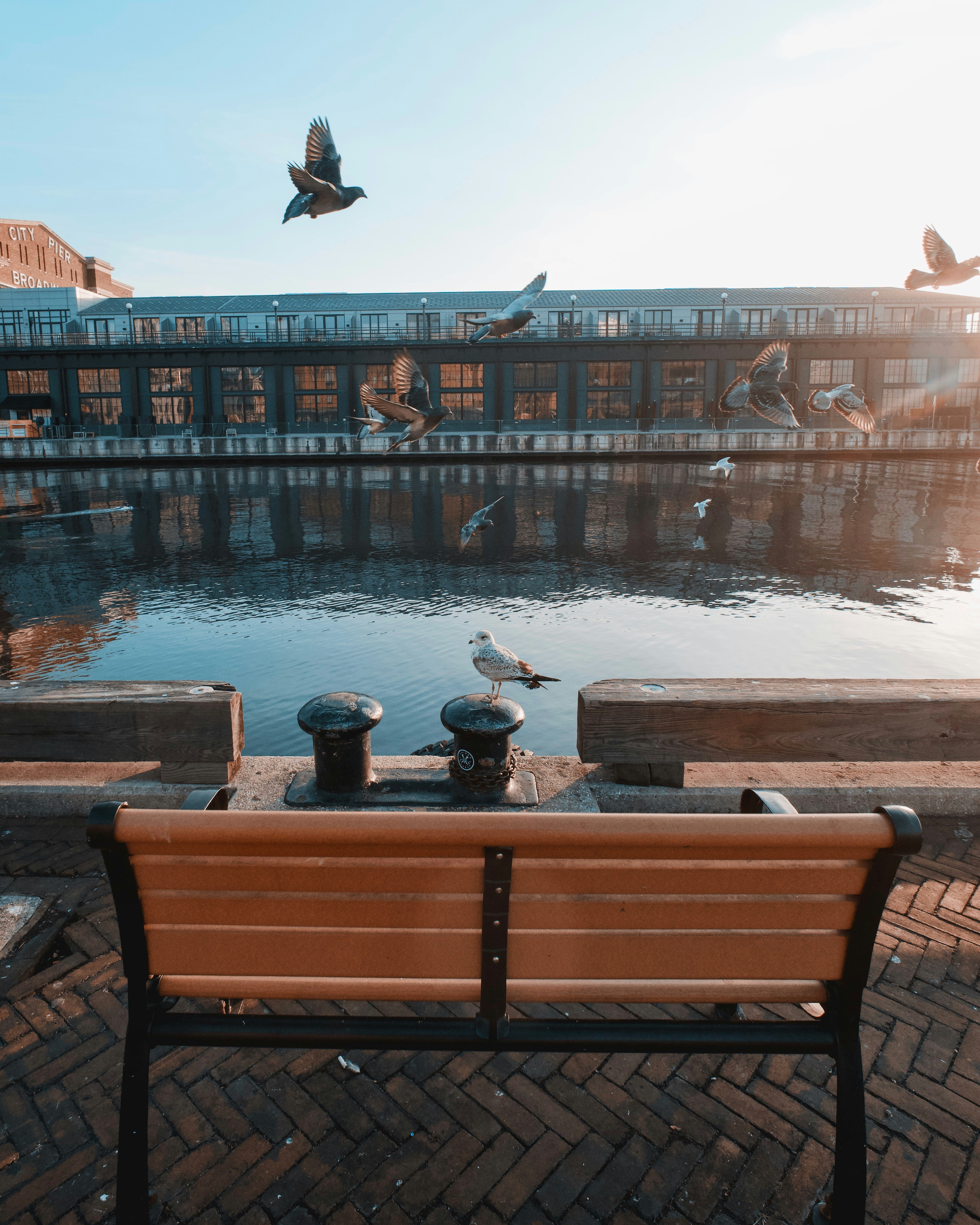 A wooden bench sitting next to a body of water
