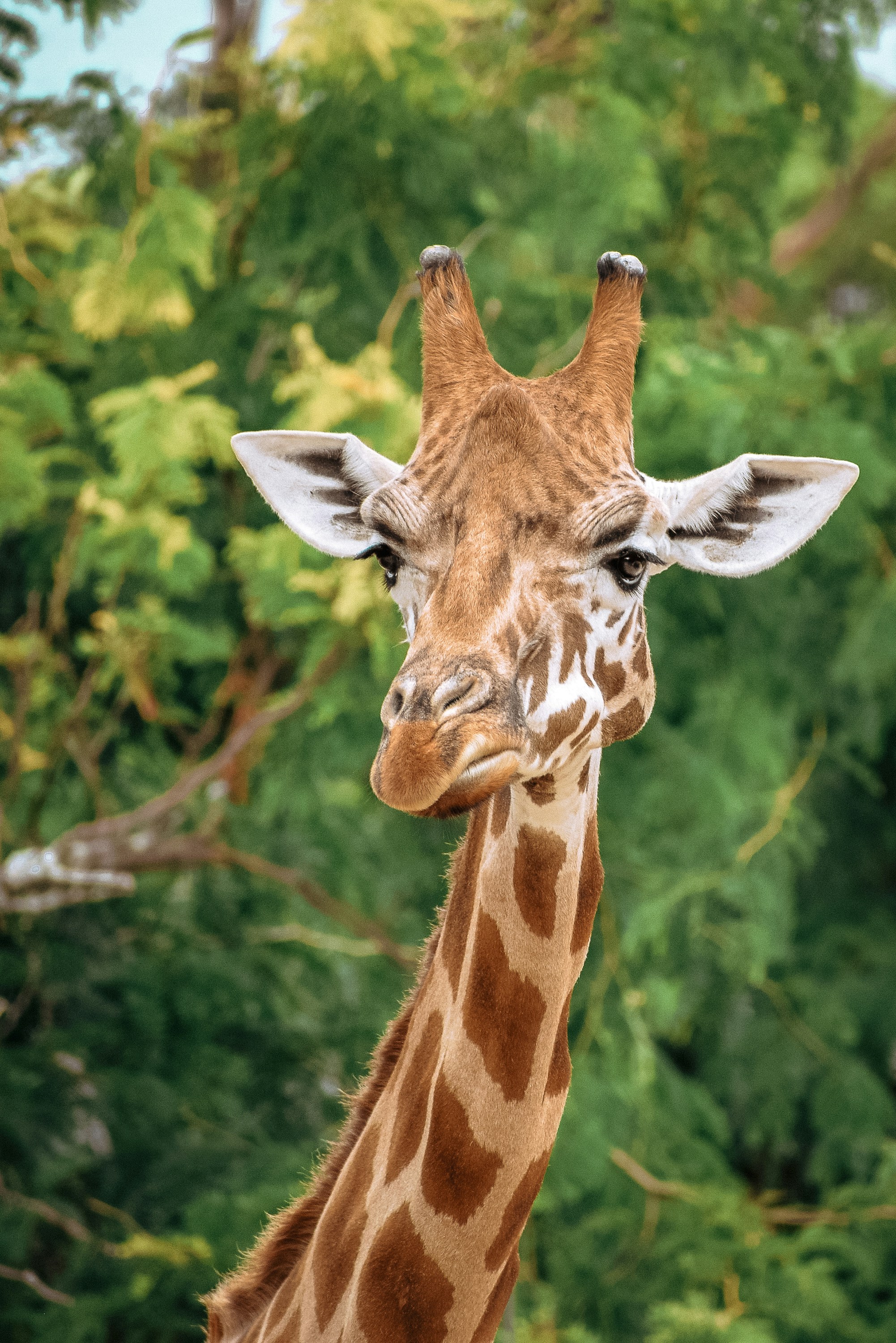 Photo by amandaswanepoel