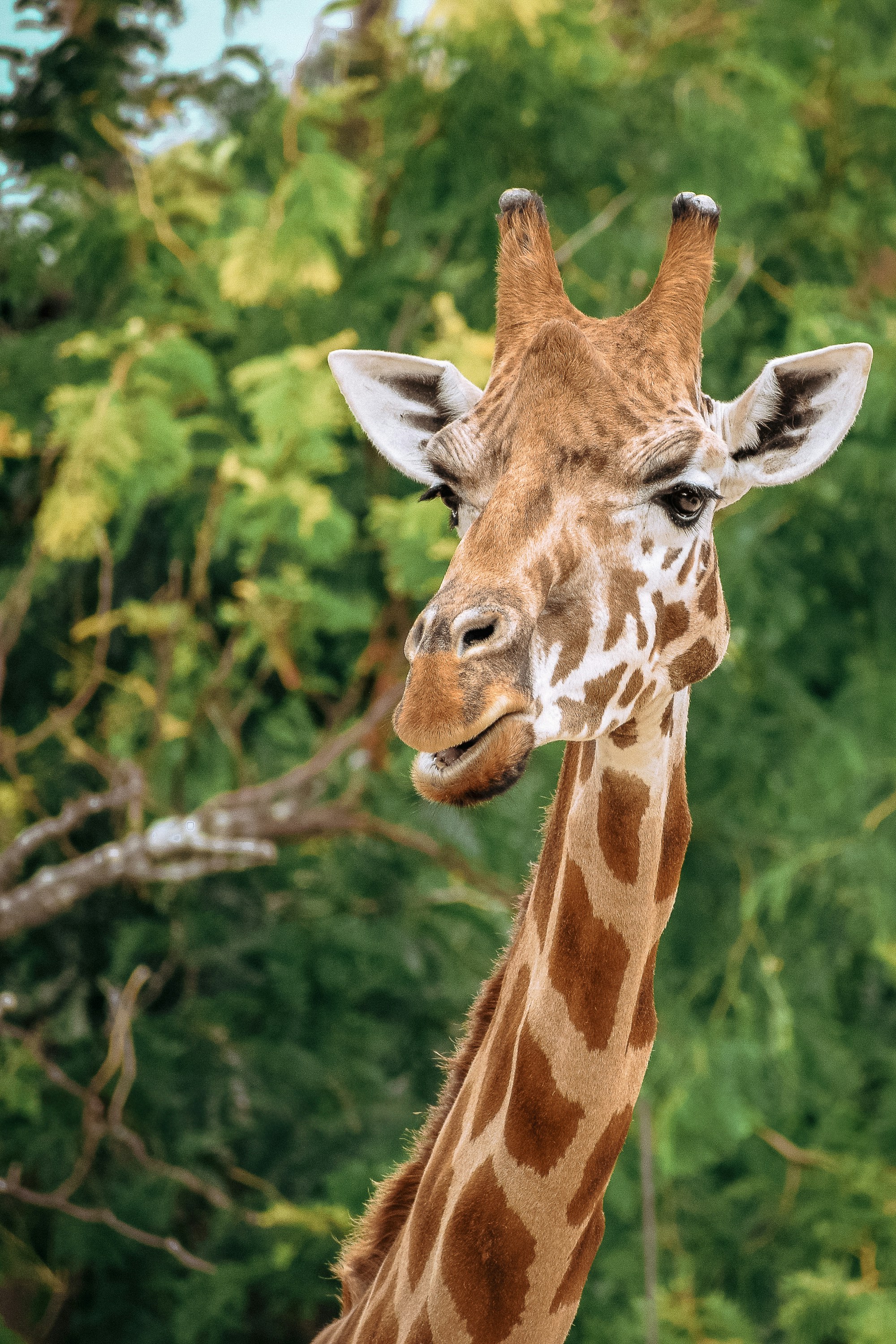 Photo by amandaswanepoel