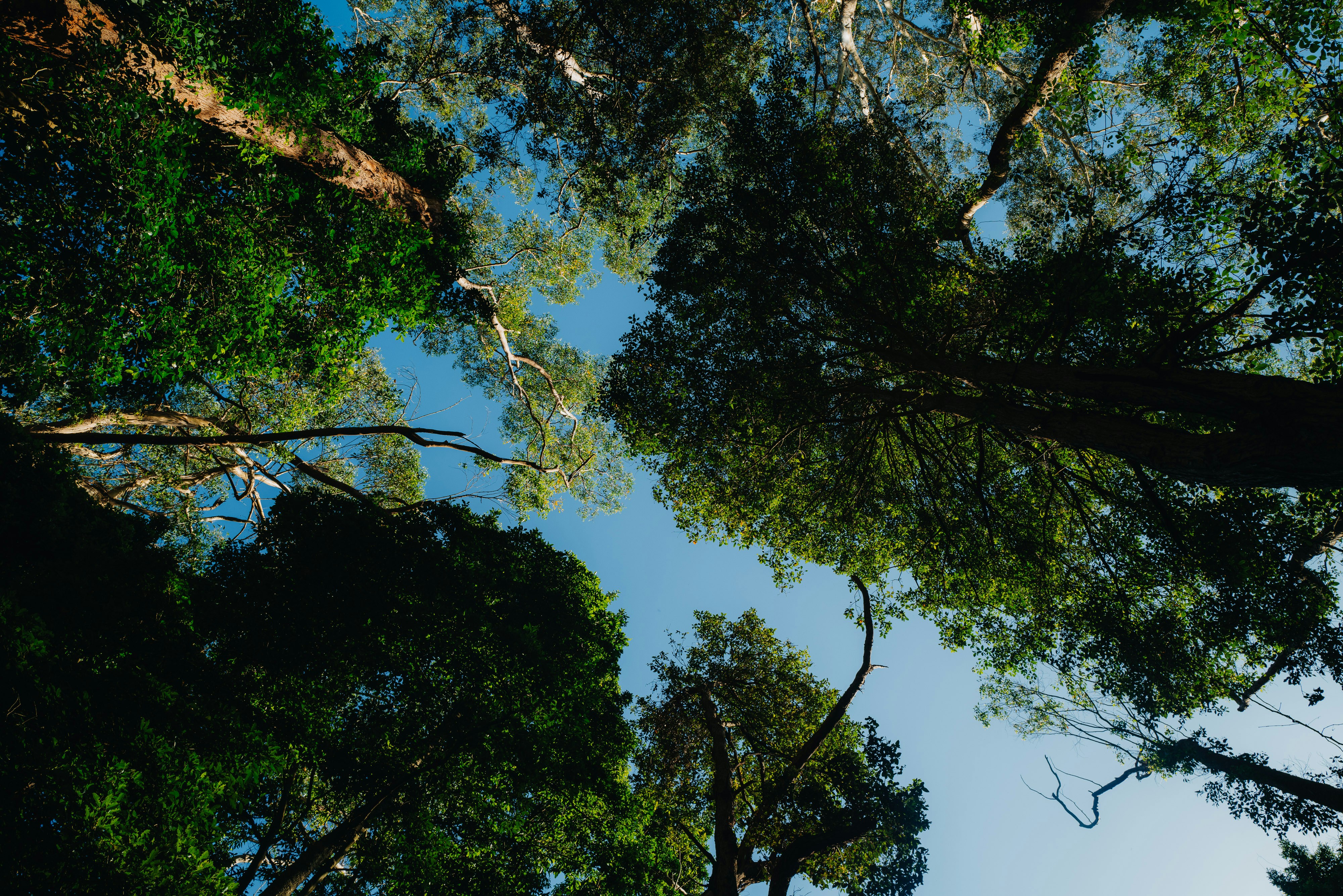 Photo by seeing_things