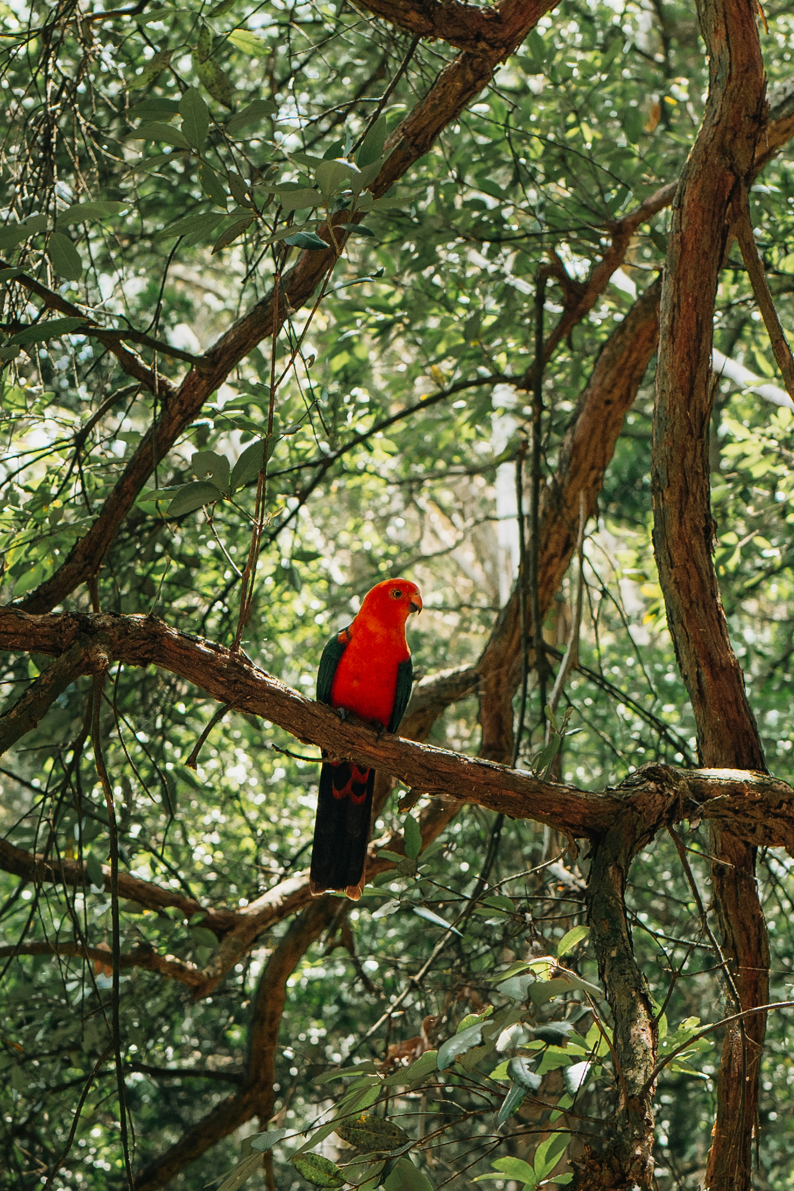 Photo by seeing_things