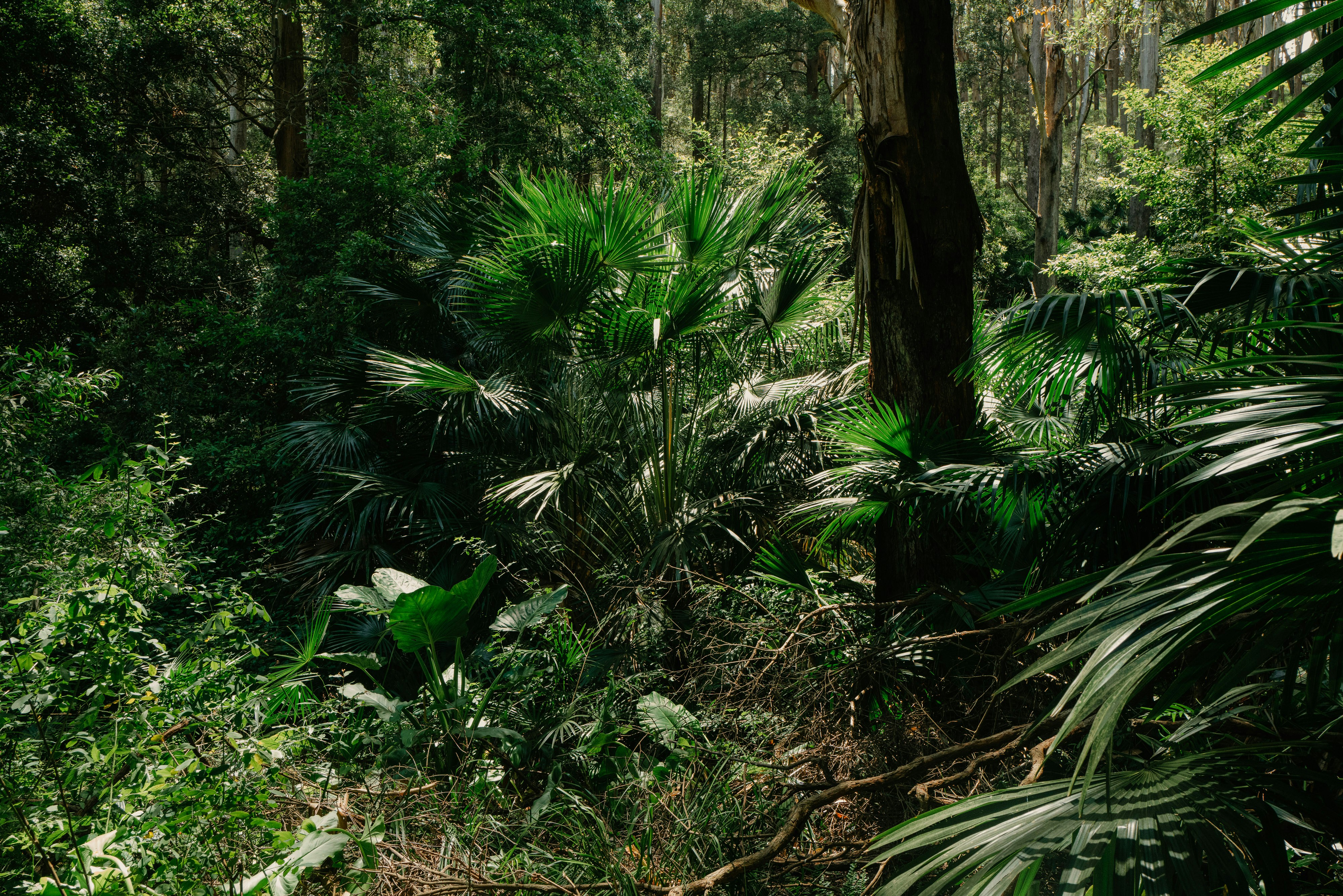 Photo by seeing_things