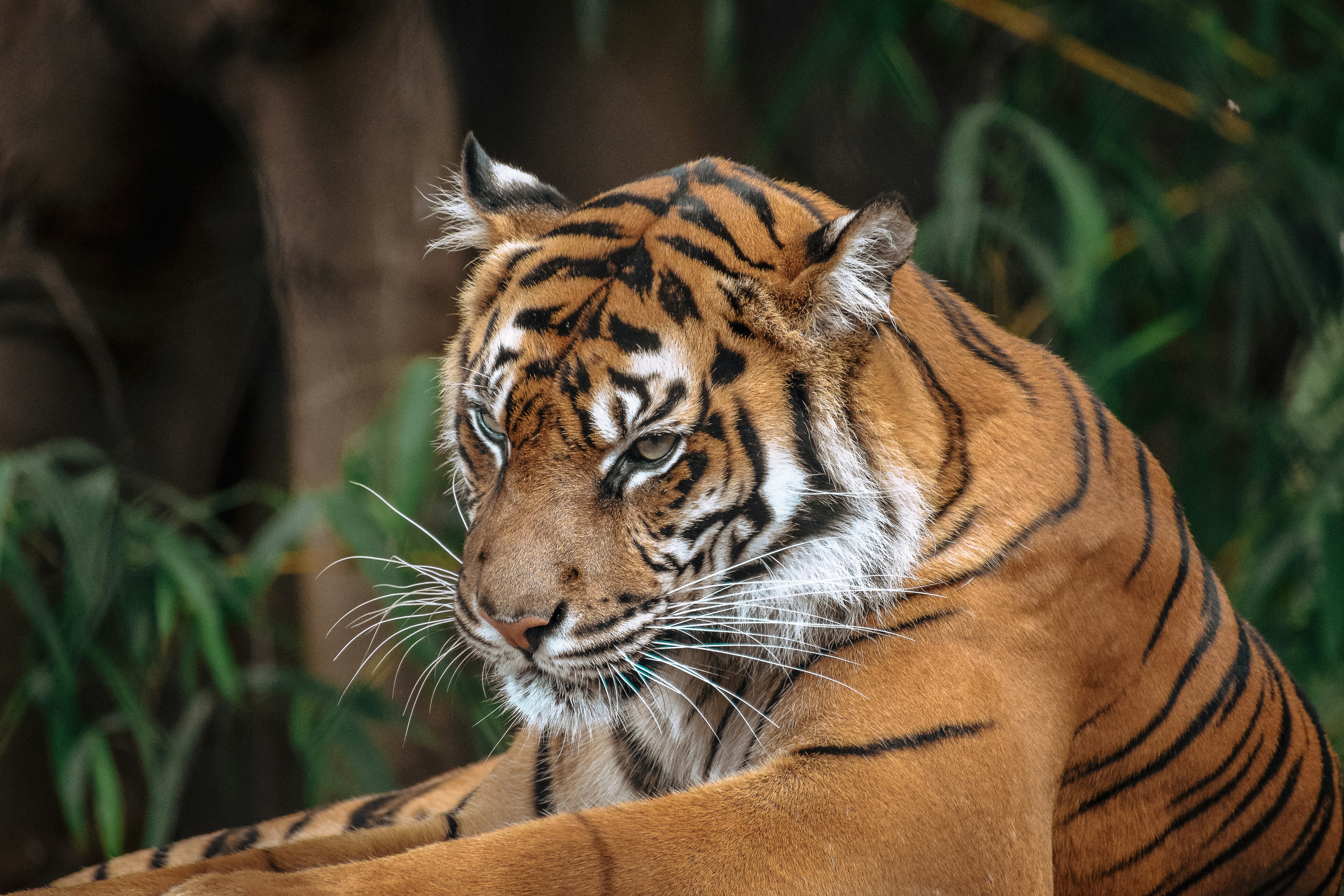 Photo by amandaswanepoel