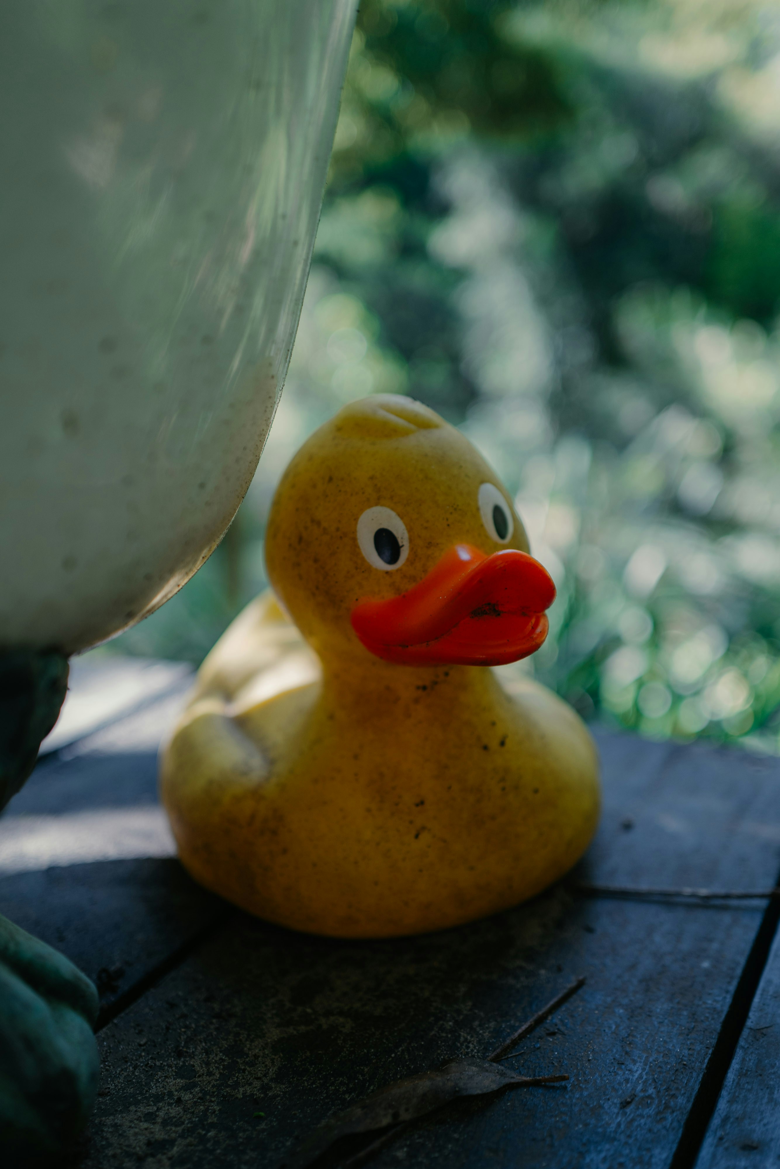 Photo by seeing_things