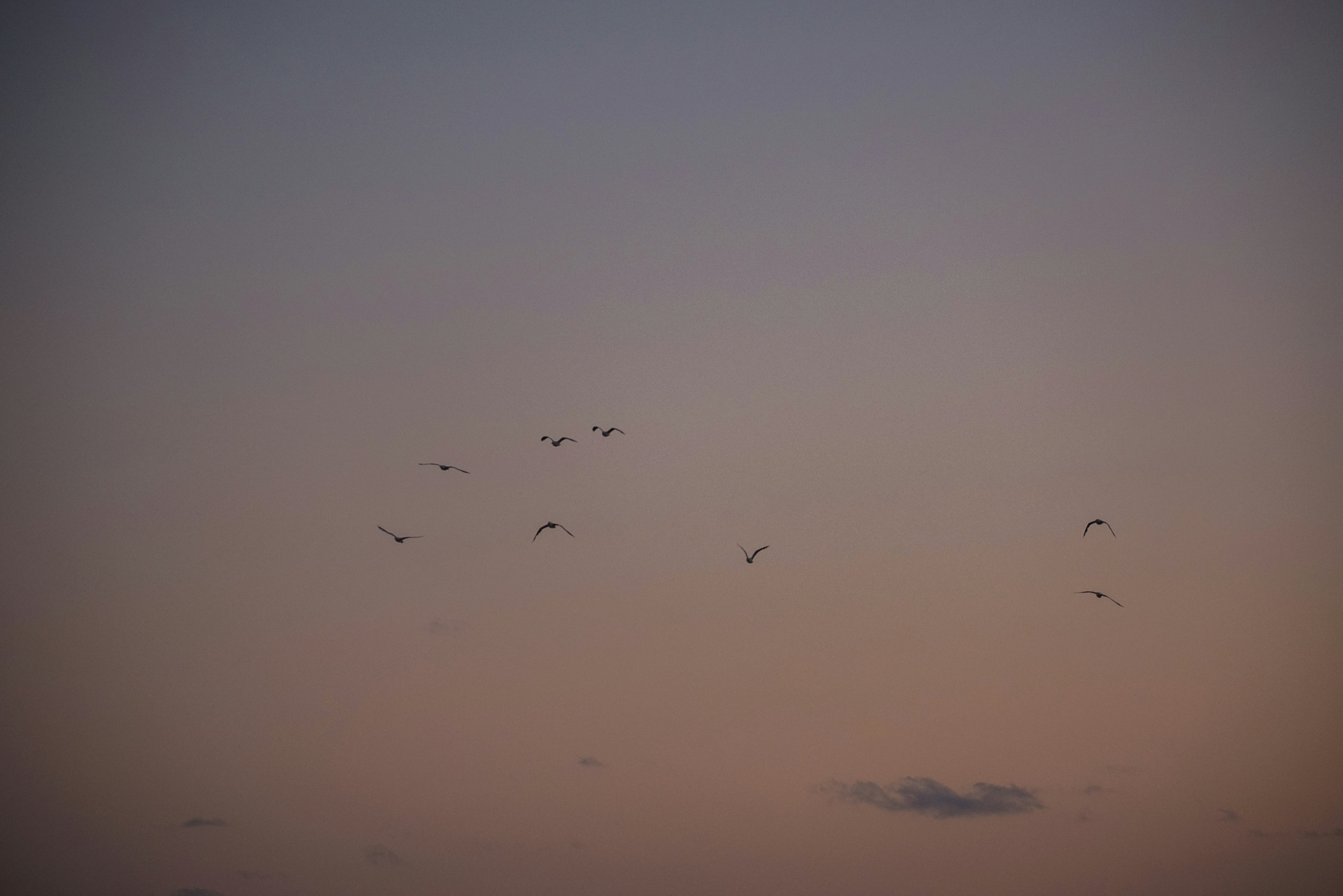 Photo by amandaswanepoel