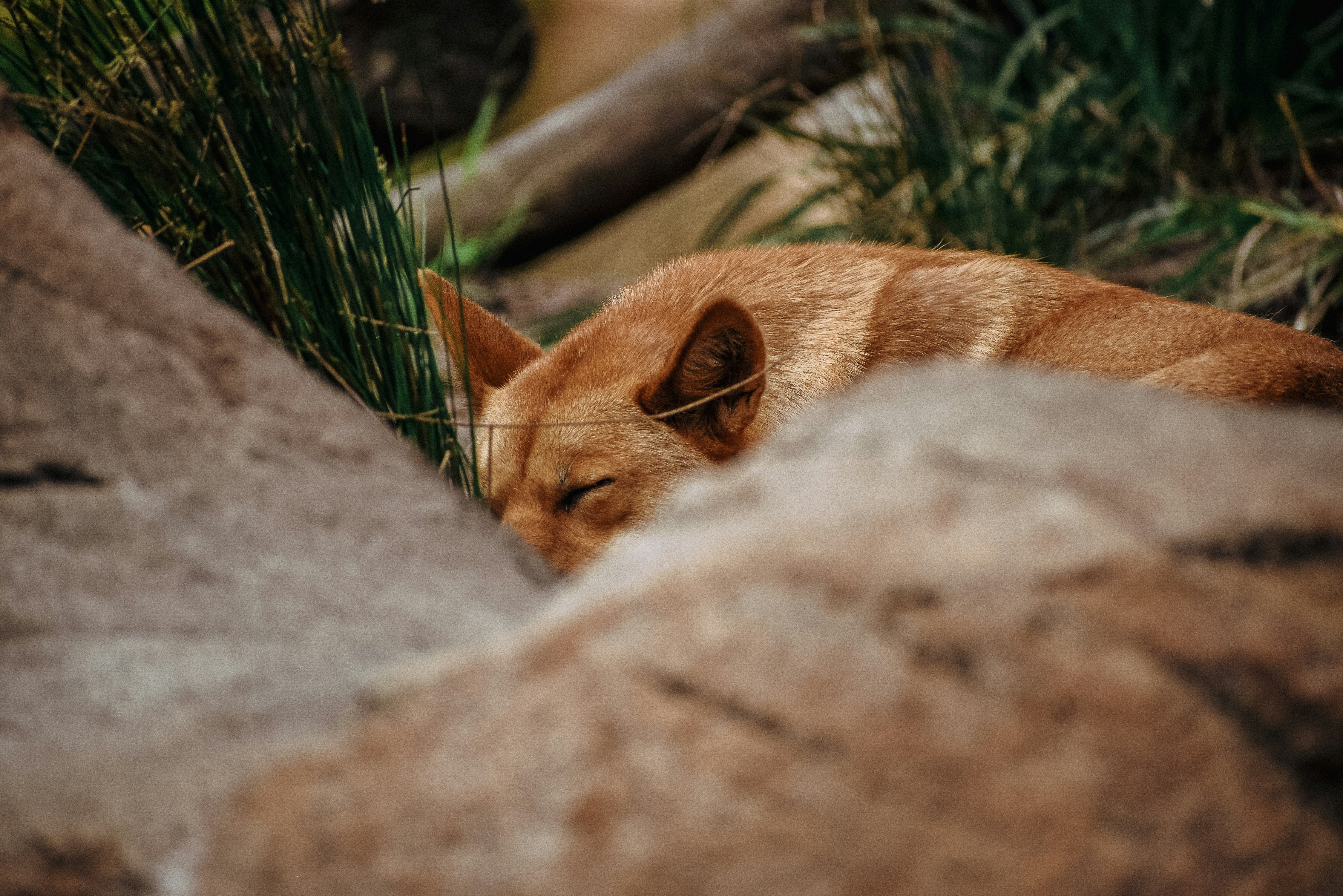 Photo by amandaswanepoel