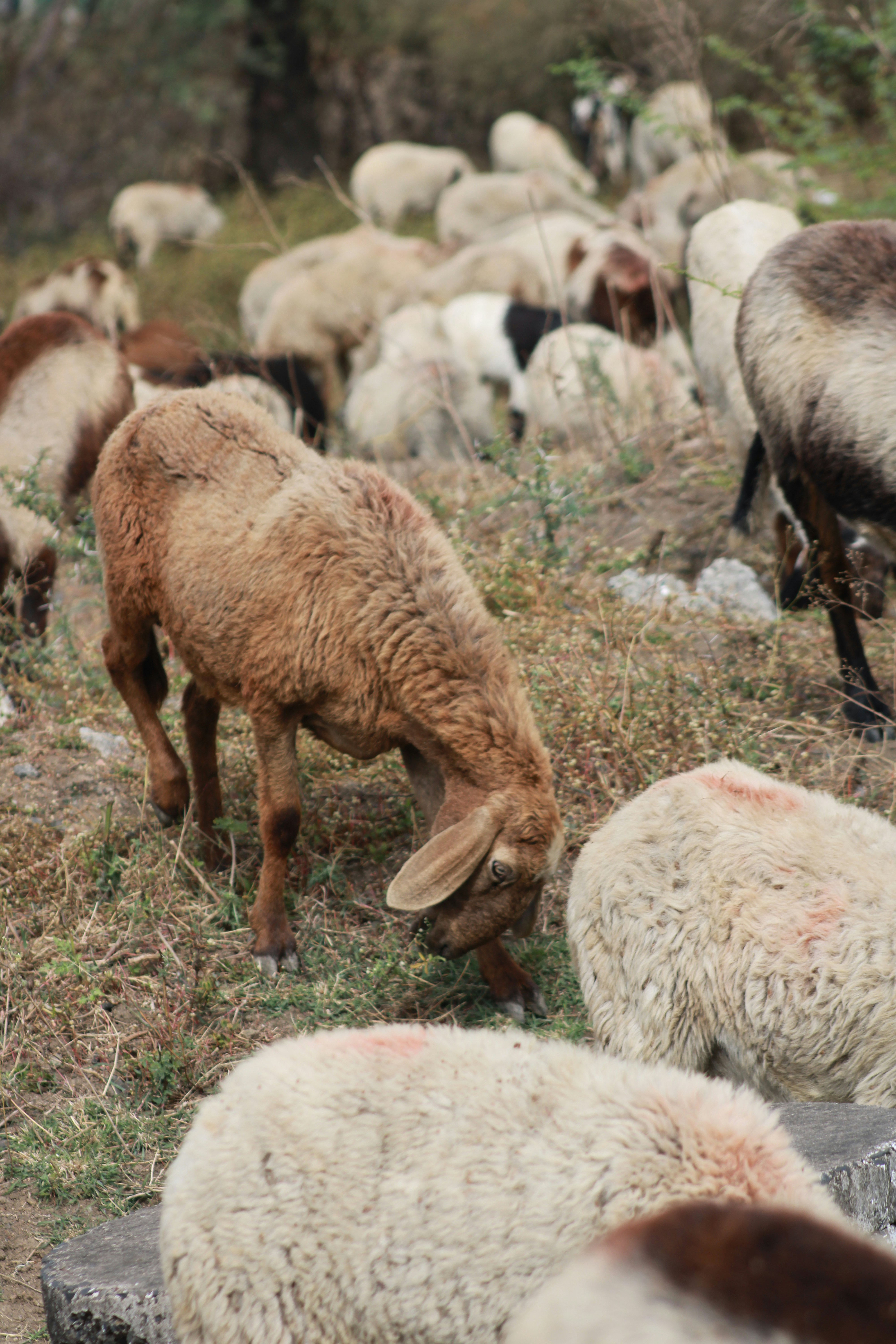 Photo by kailashmaratha55